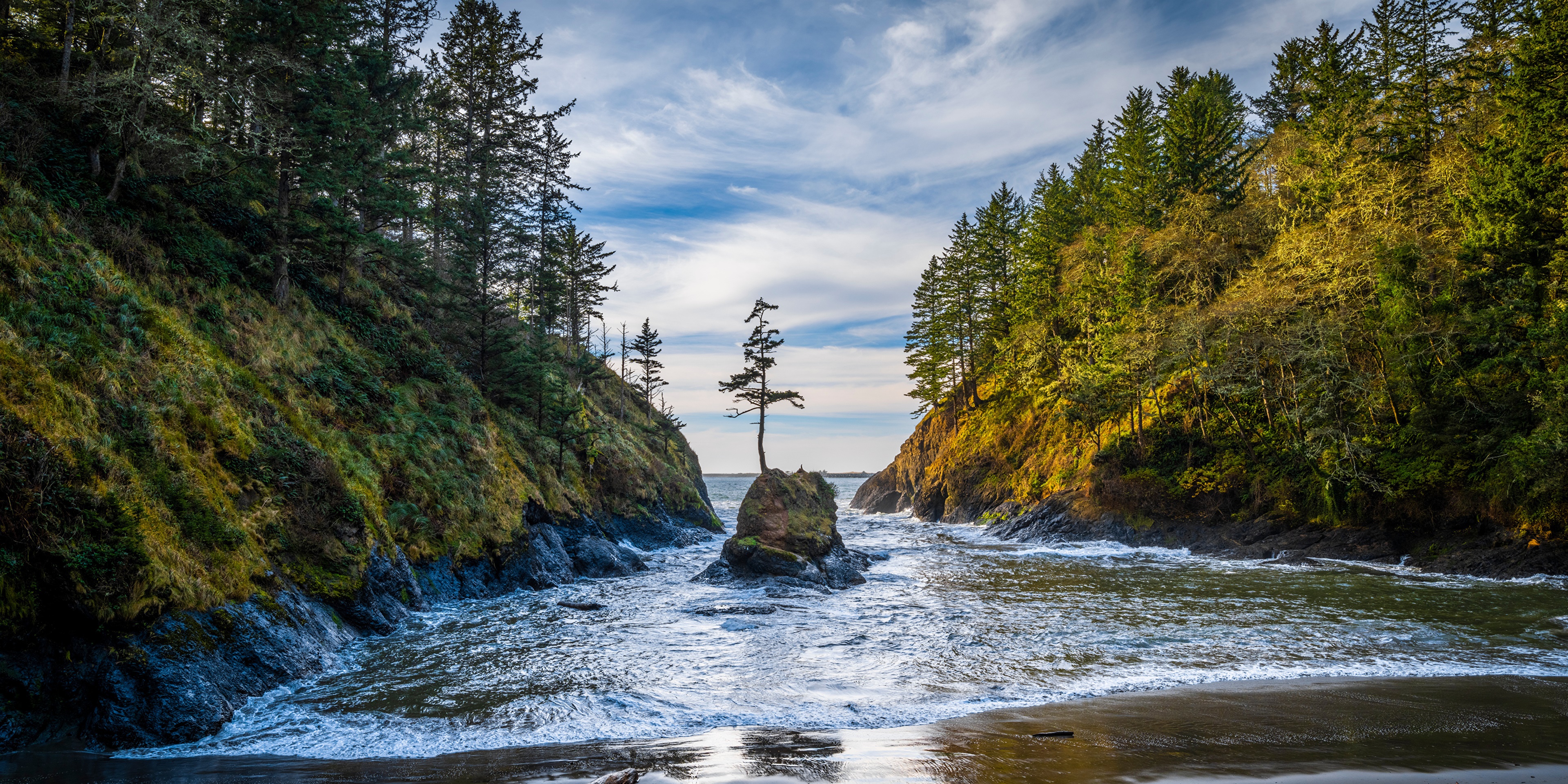 4K Deadman's Cove Washington USA Crag Trees Bay HD Wallpaper