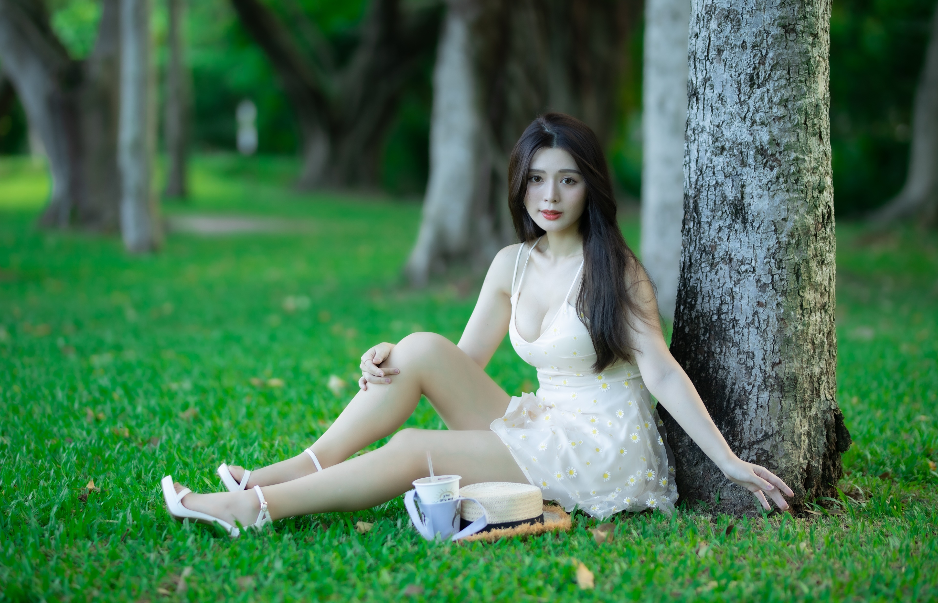 Asian woman in dress sitting in park HD Wallpaper