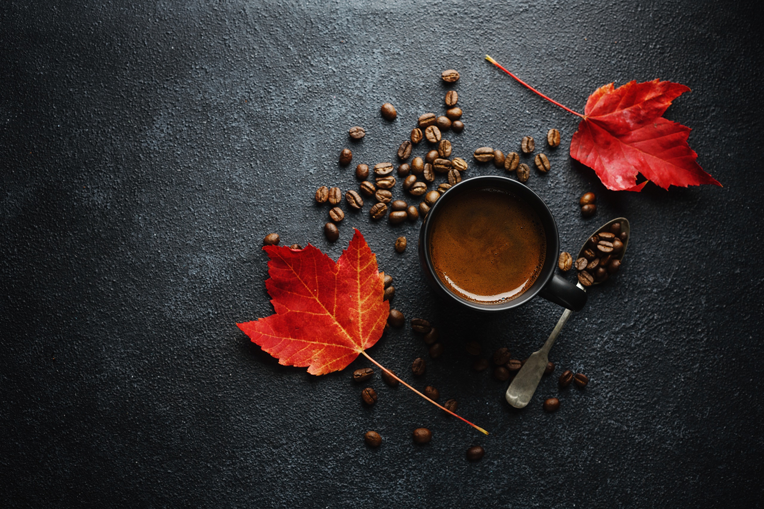Coffee cup with beans and autumn leaves HD Wallpaper