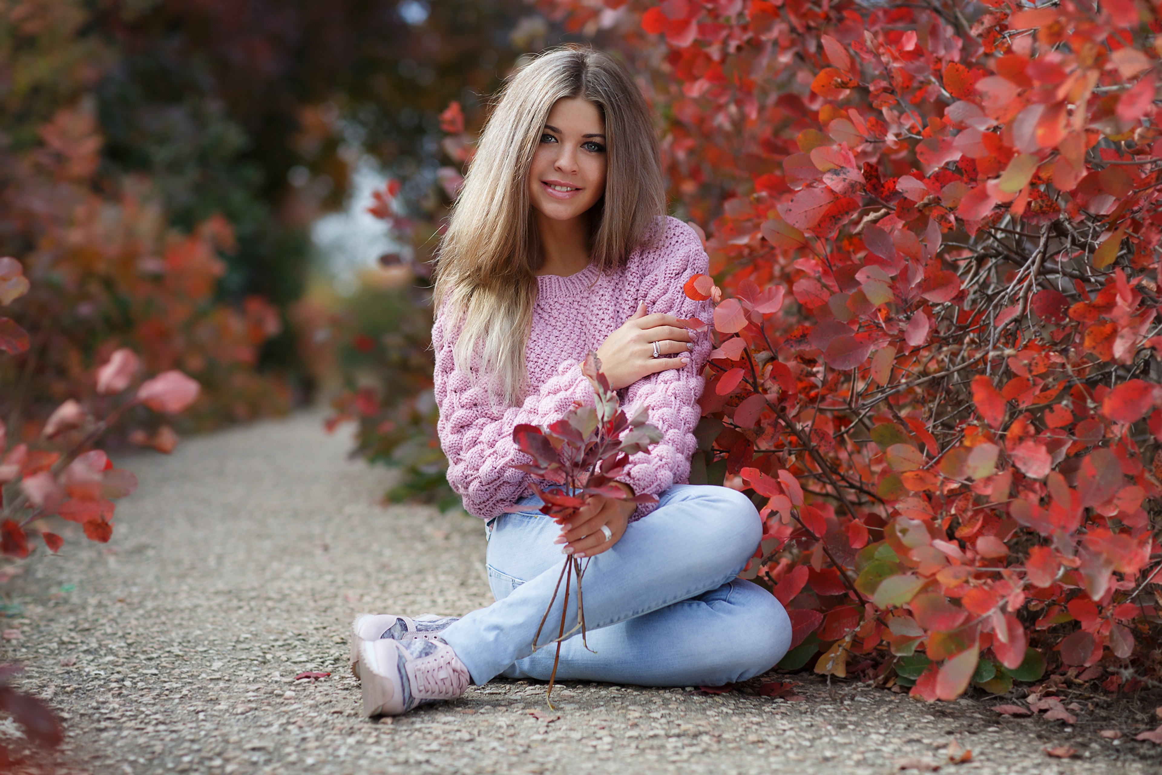 Woman in pink sweater sitting by red foliage HD Wallpaper