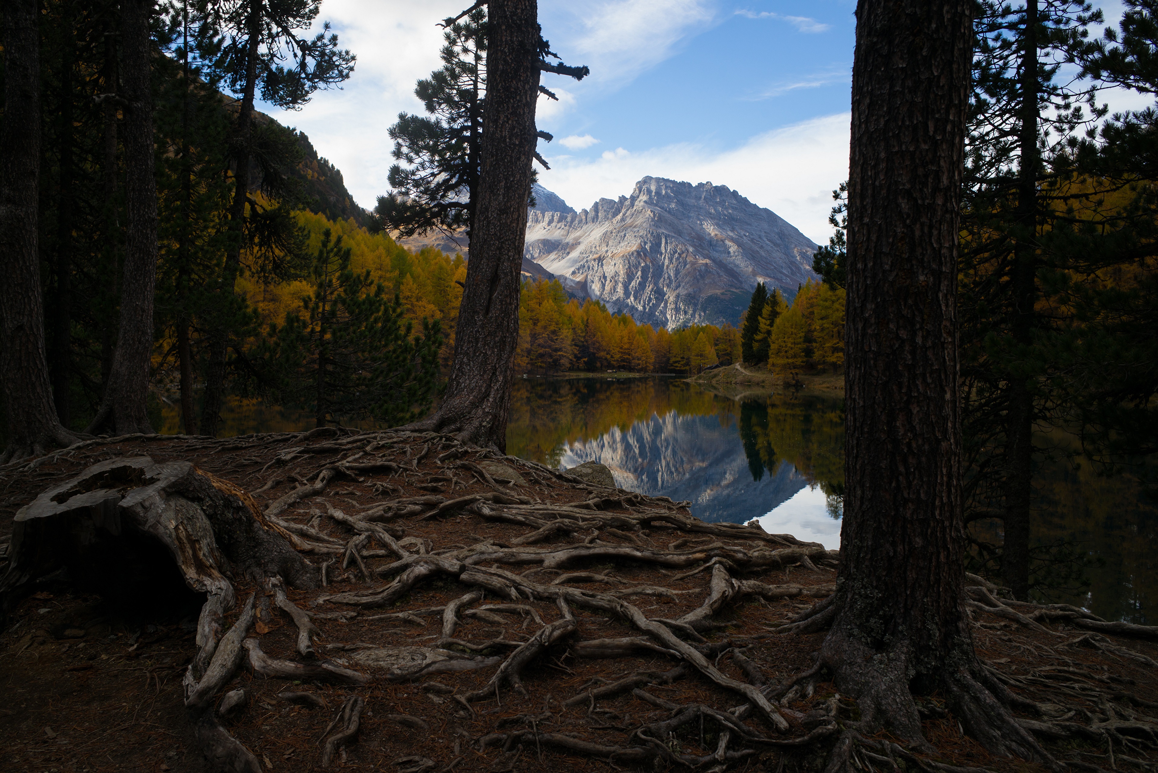 Switzerland Alps Mountains Lake Trees 4K HD Wallpaper