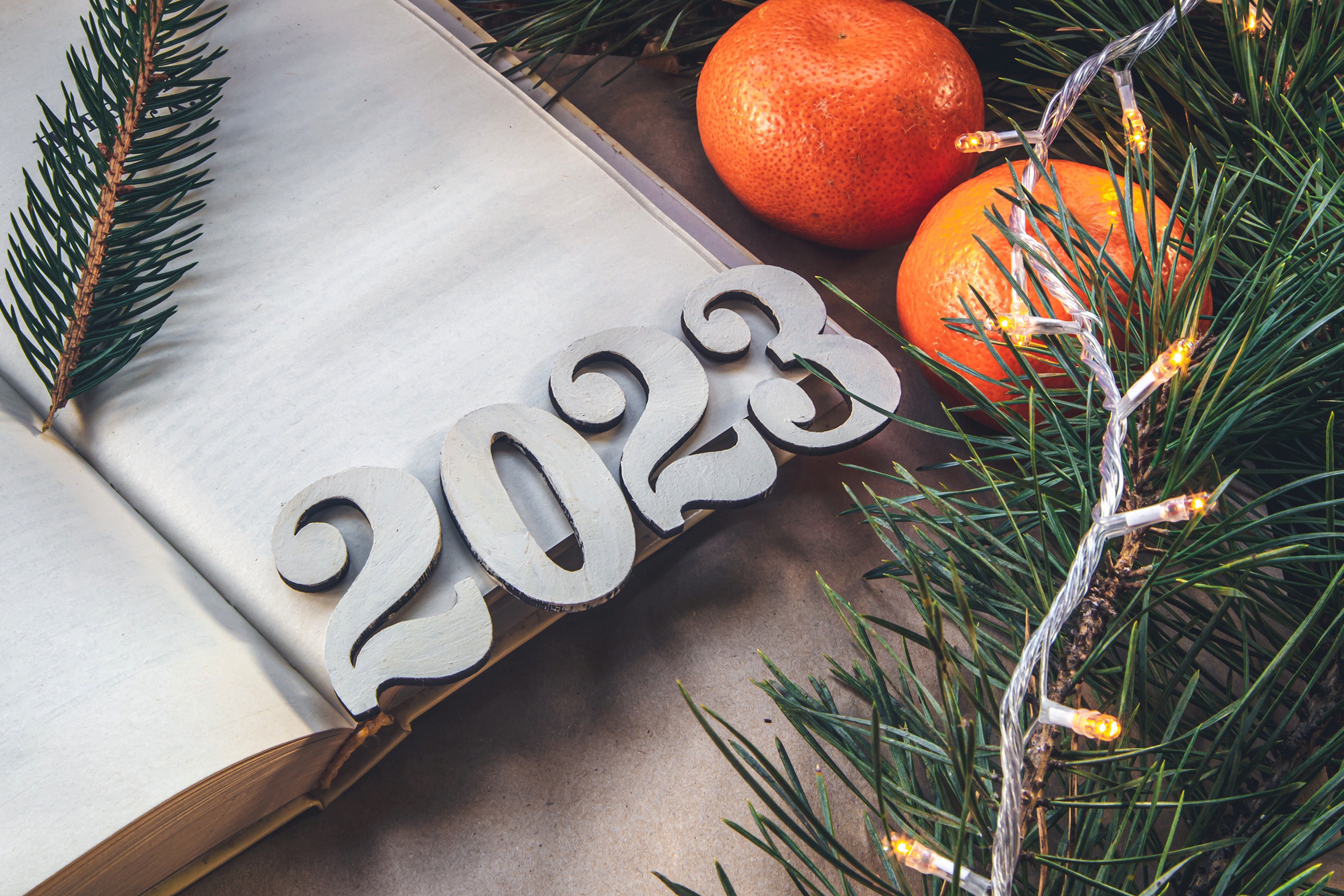 2023 numbers with tangerines and pine branches HD Wallpaper