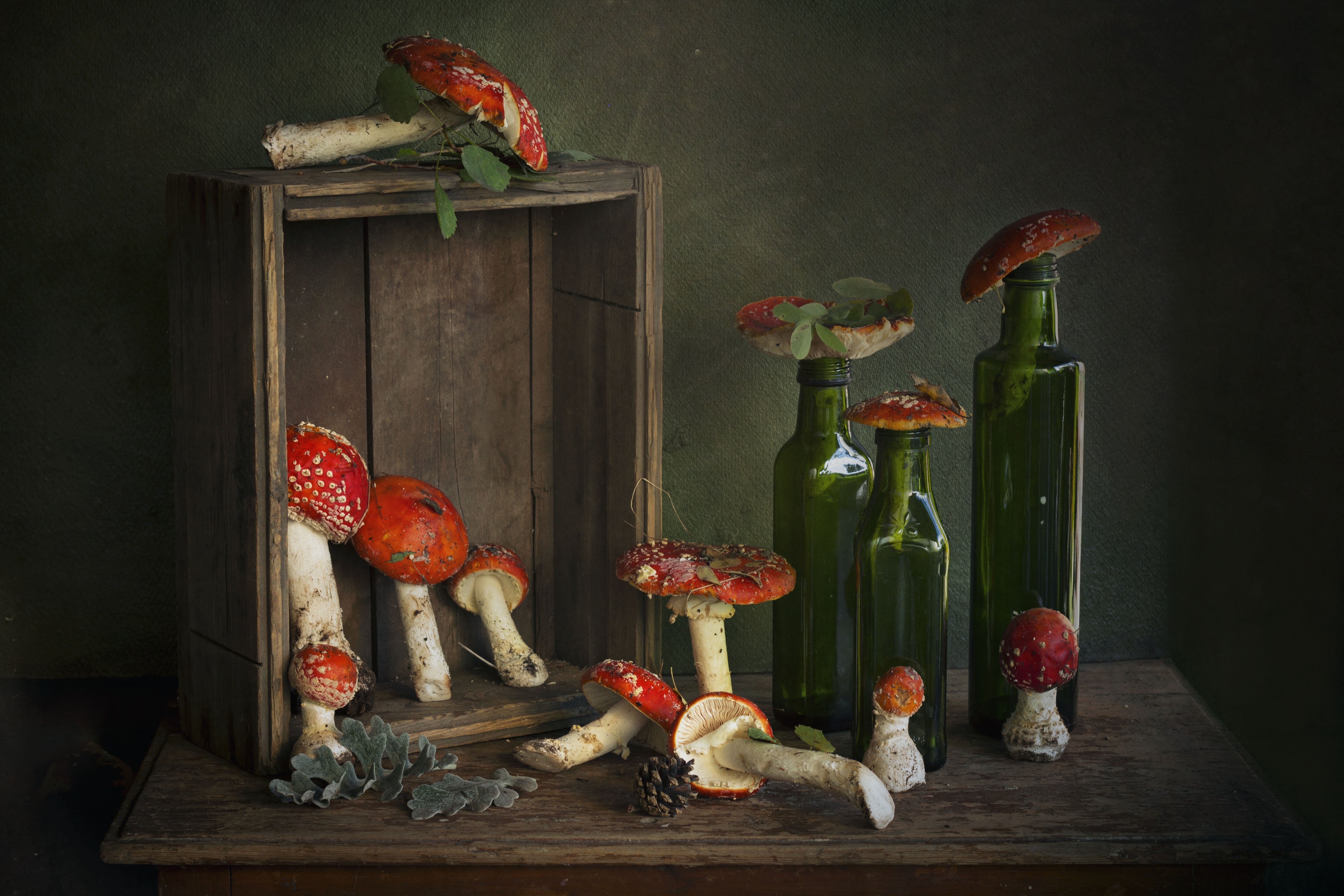 Amanita mushrooms and bottles in a wooden crate HD Wallpaper