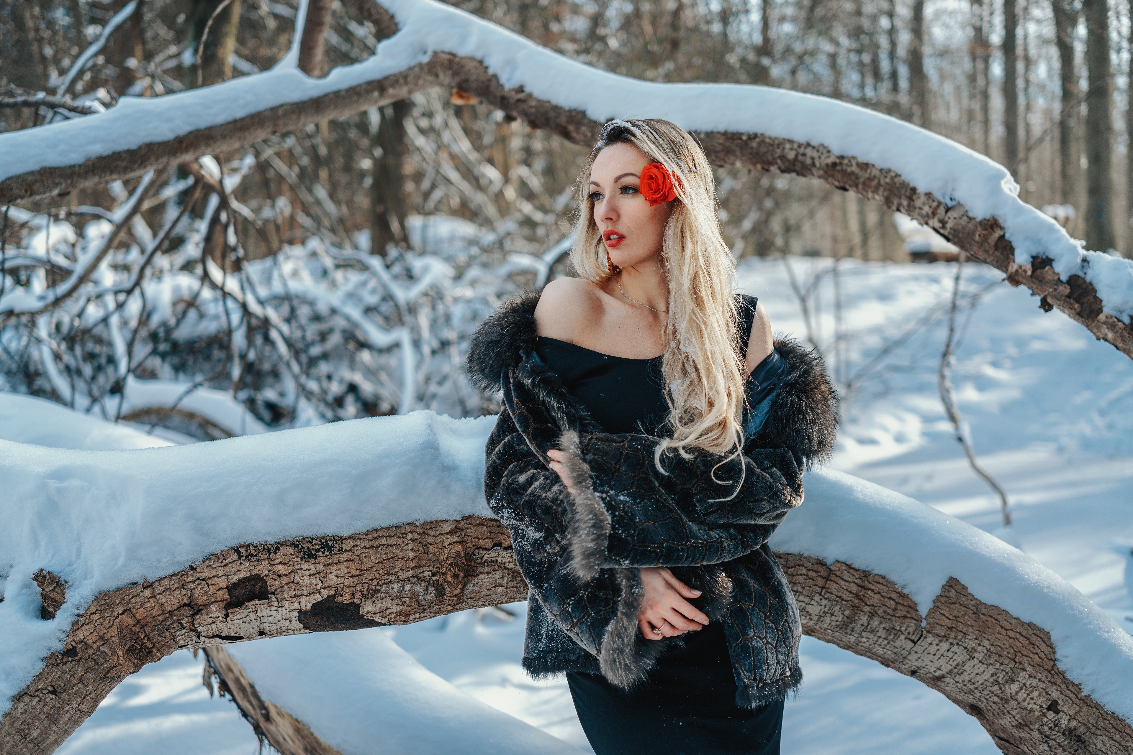 4K Olya Alessandra Winter Snow Blonde Girl Fur Coat HD Wallpaper