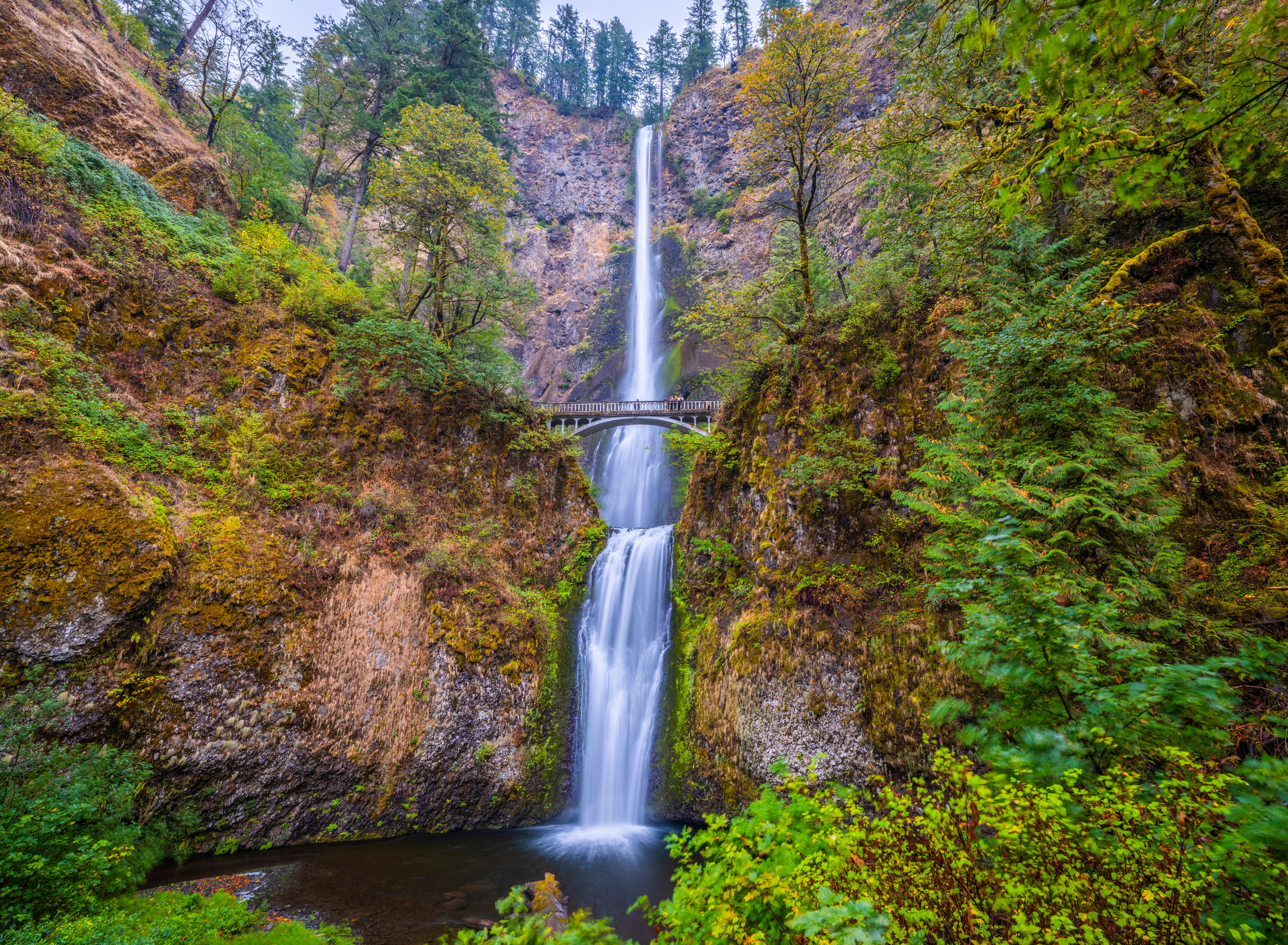 Multnomah Falls in Columbia River Gorge, Oregon HD Wallpaper