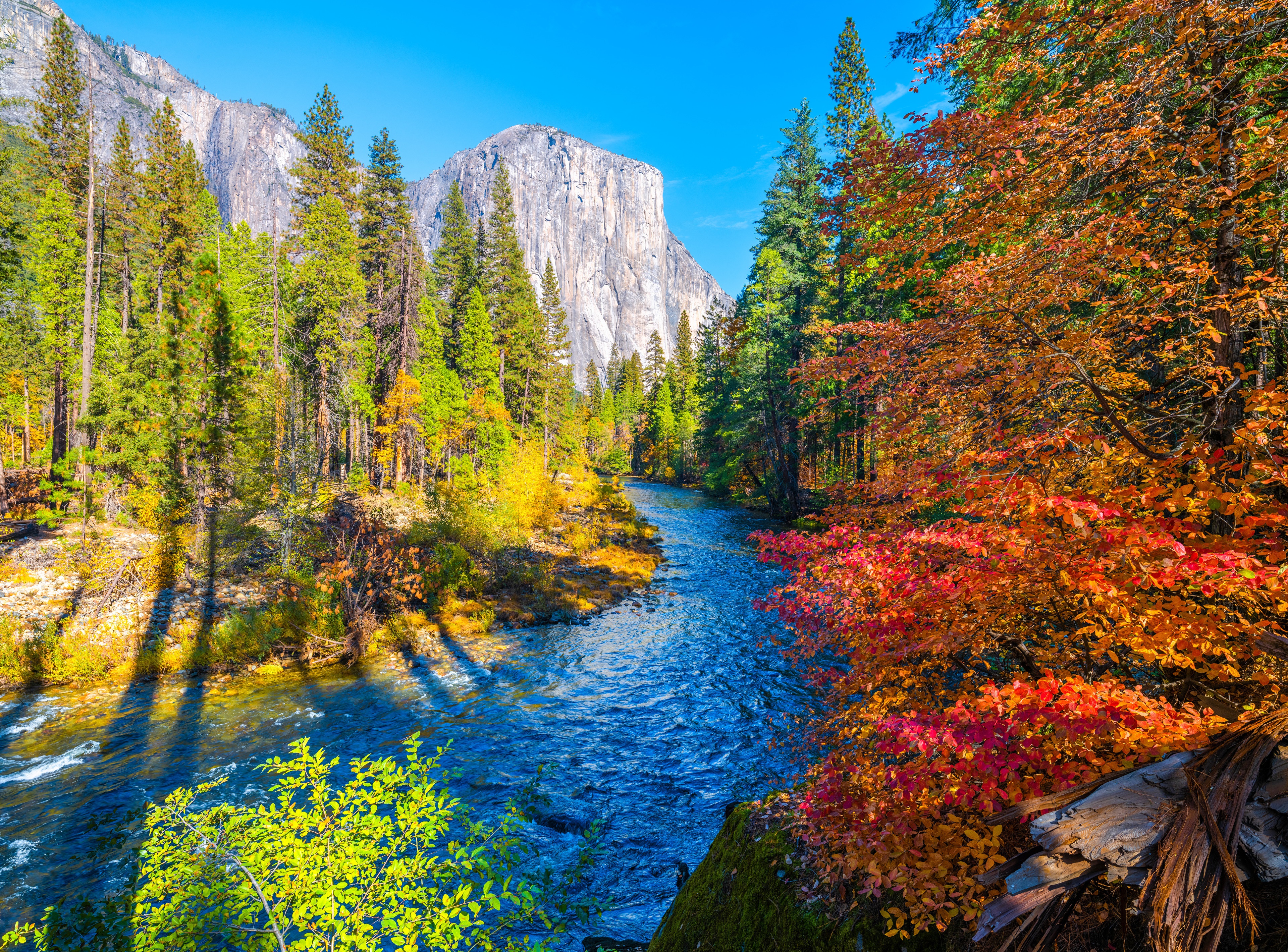 Yosemite National Park River in Autumn HD Wallpaper