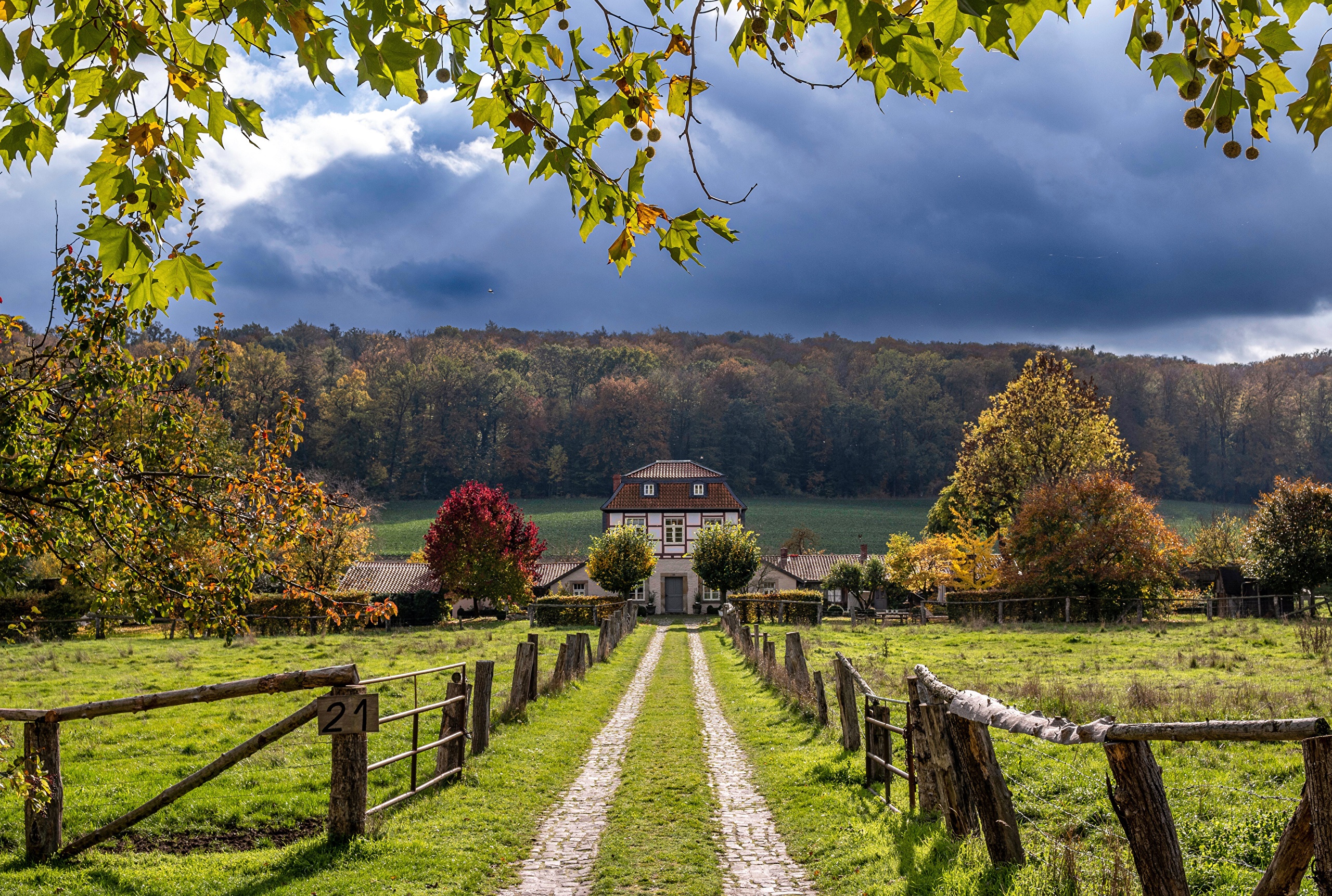 Autumn scene with a house and a road in Derneburg, Germany HD Wallpaper