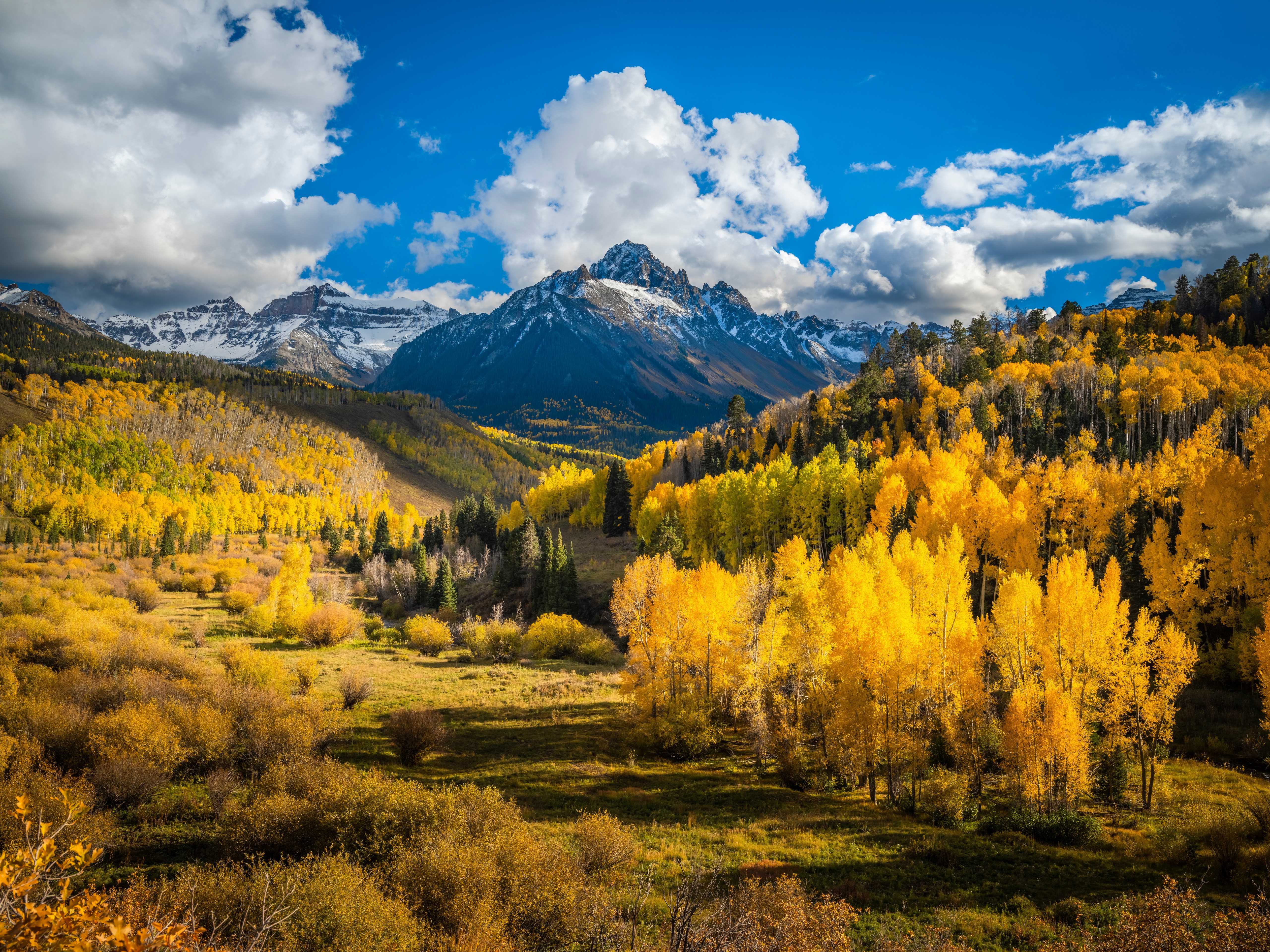 Colorado Mountains in Autumn with Yellow Trees HD Wallpaper