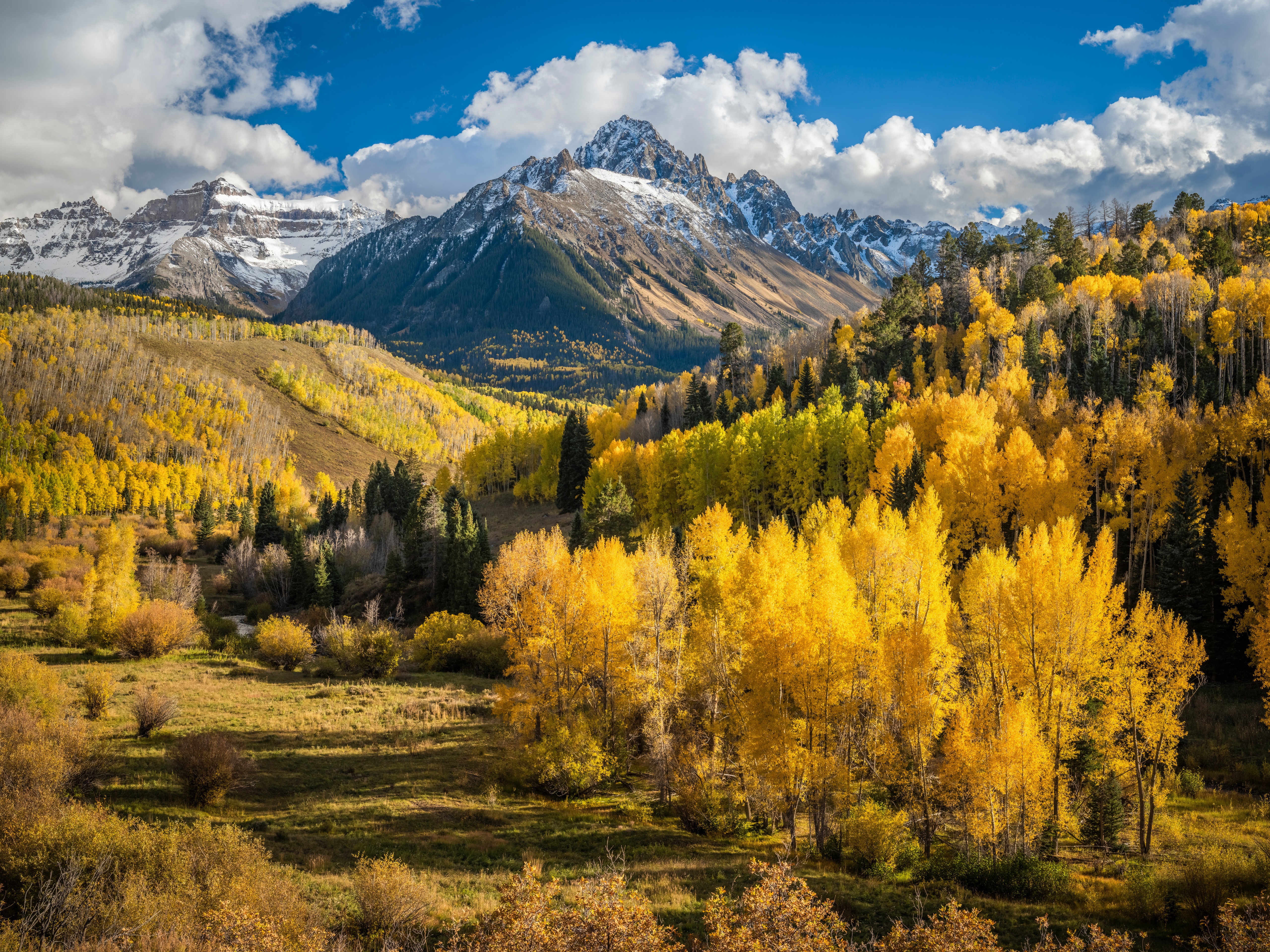 Autumn Mountains Forest Scenery in Colorado, USA HD Wallpaper