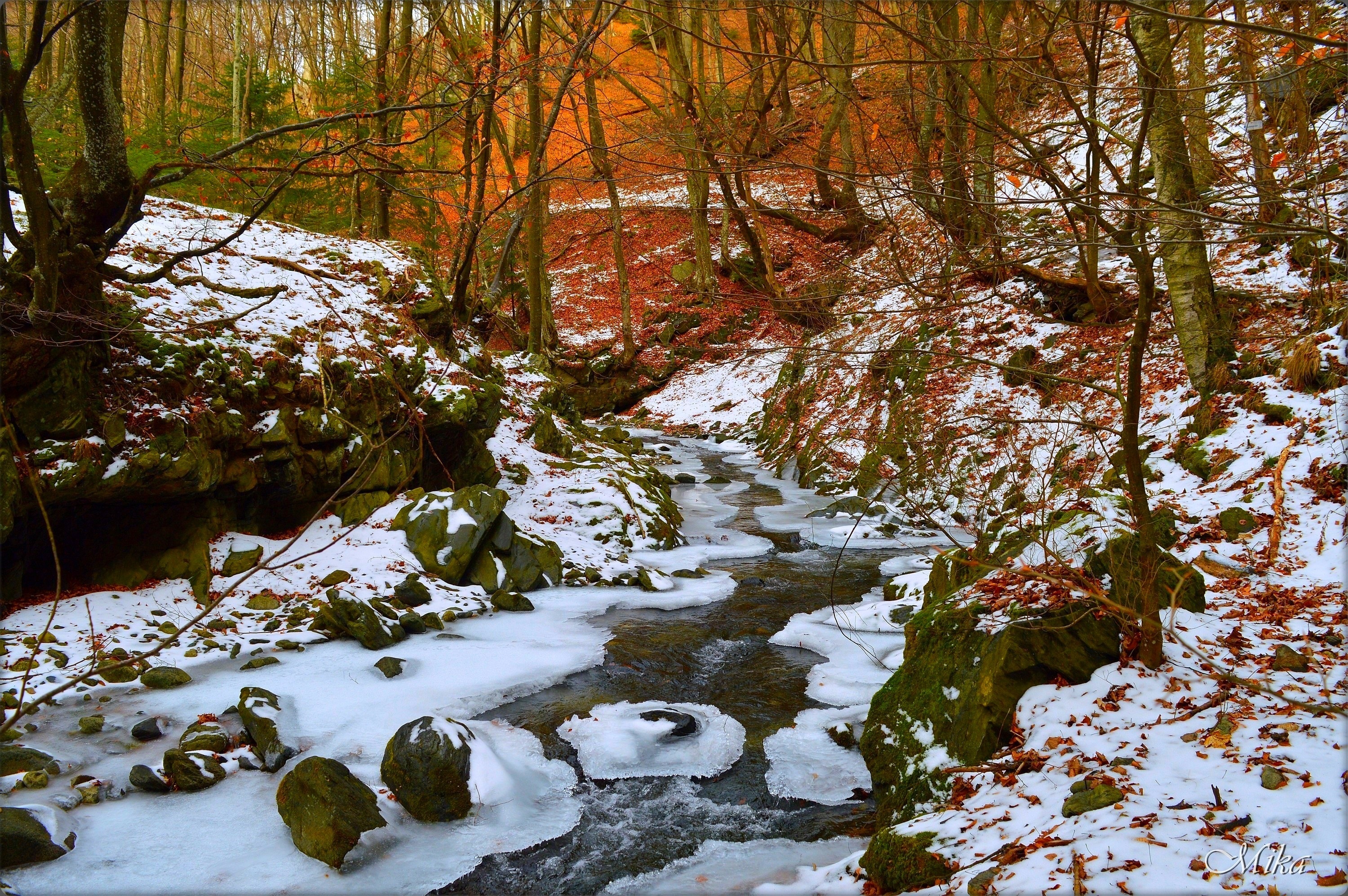 Winter stream with snow and fallen leaves HD Wallpaper