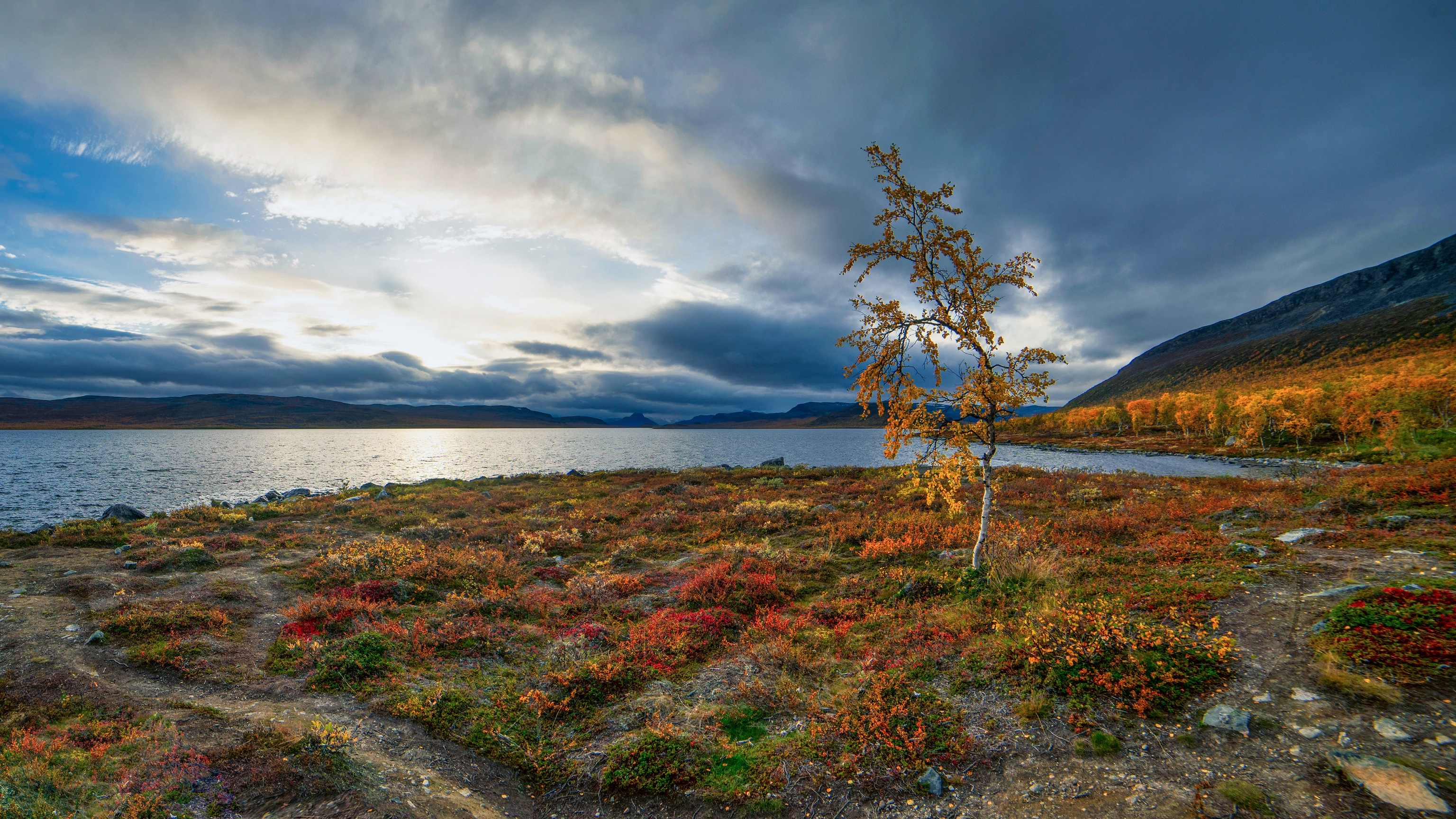Autumn landscape with lake and birch tree in Lapland, Finland HD Wallpaper