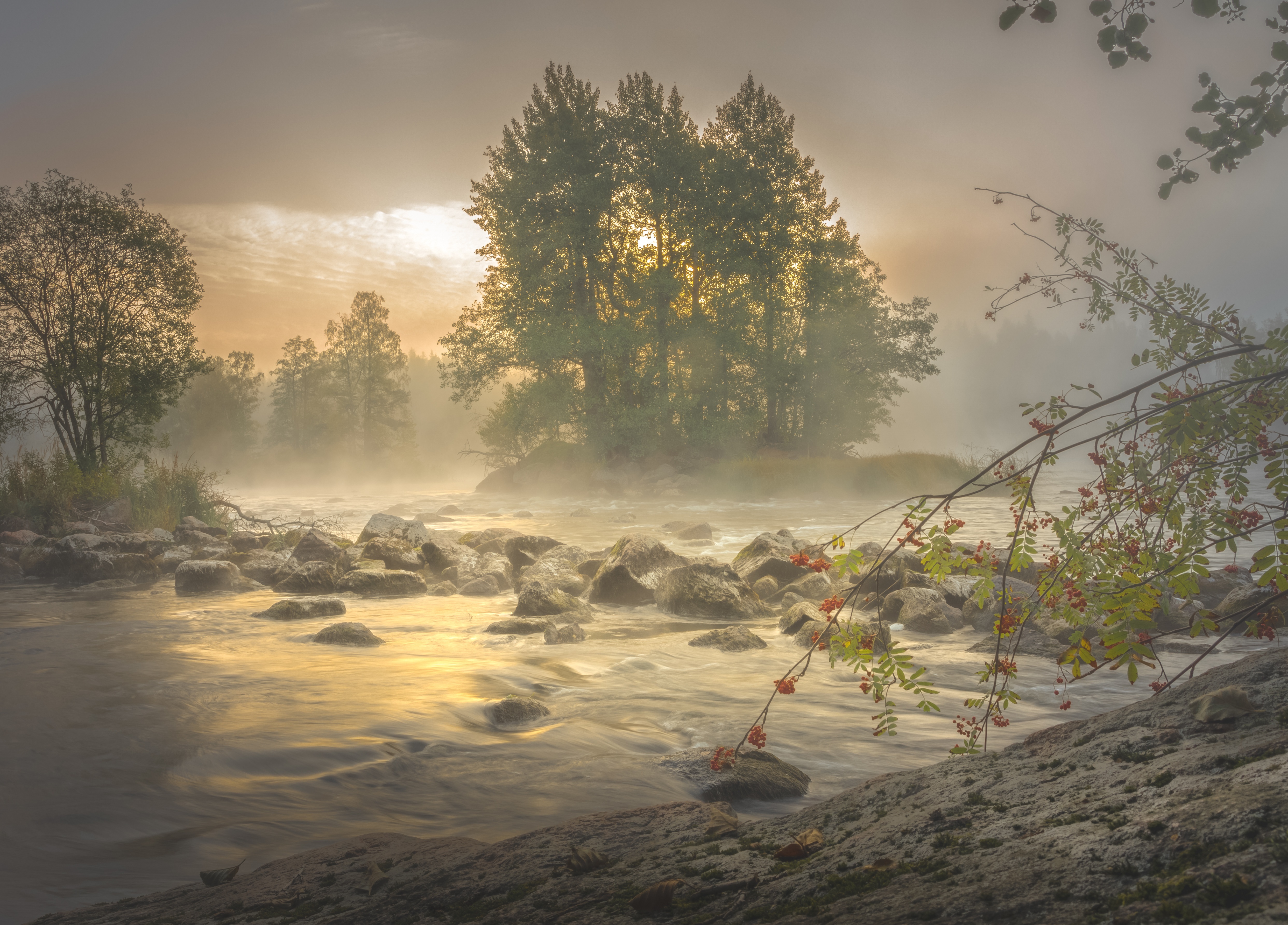 River Kymijoki in Finland during foggy morning HD Wallpaper