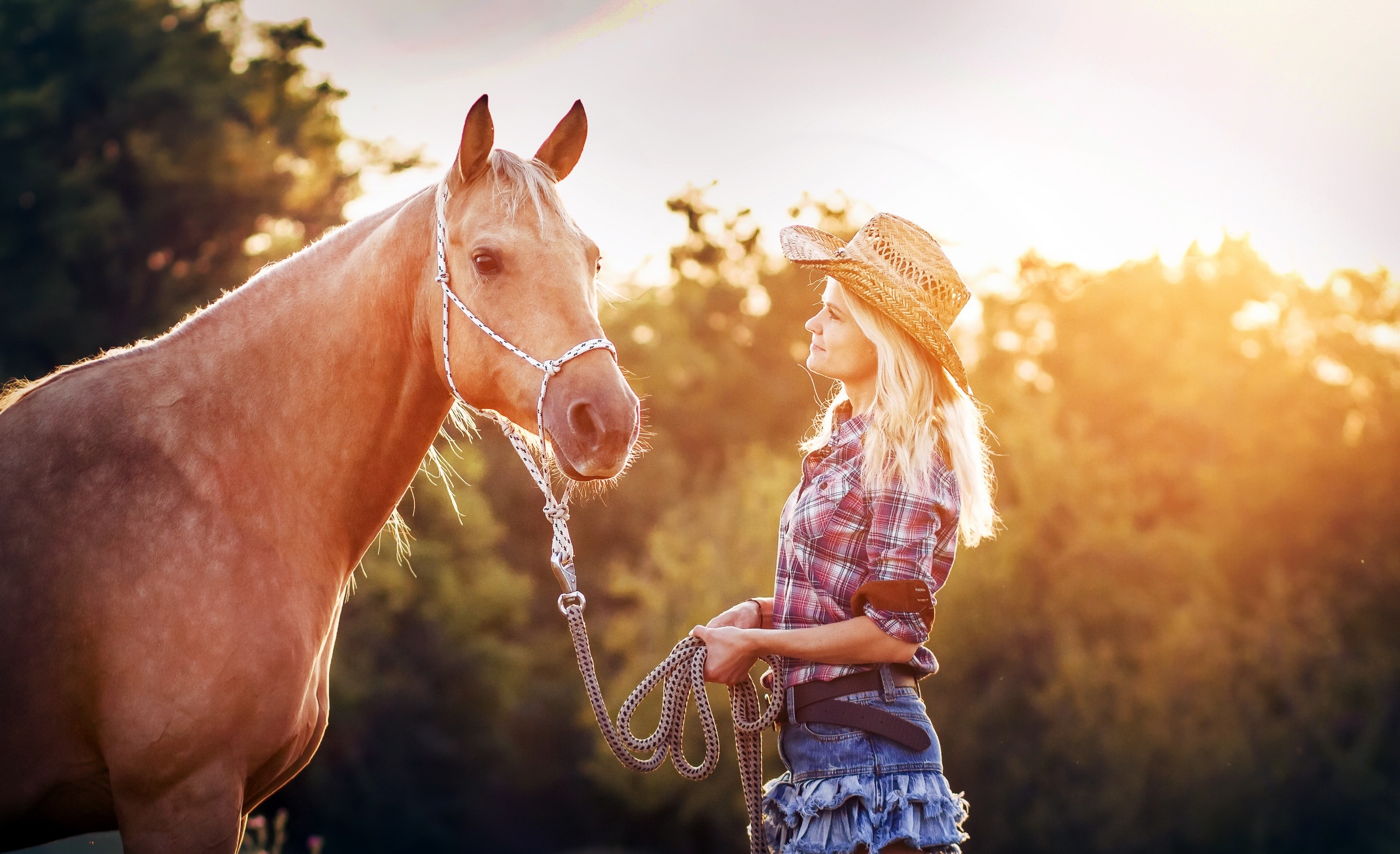Blonde woman in cowboy hat with horse at sunset HD Wallpaper