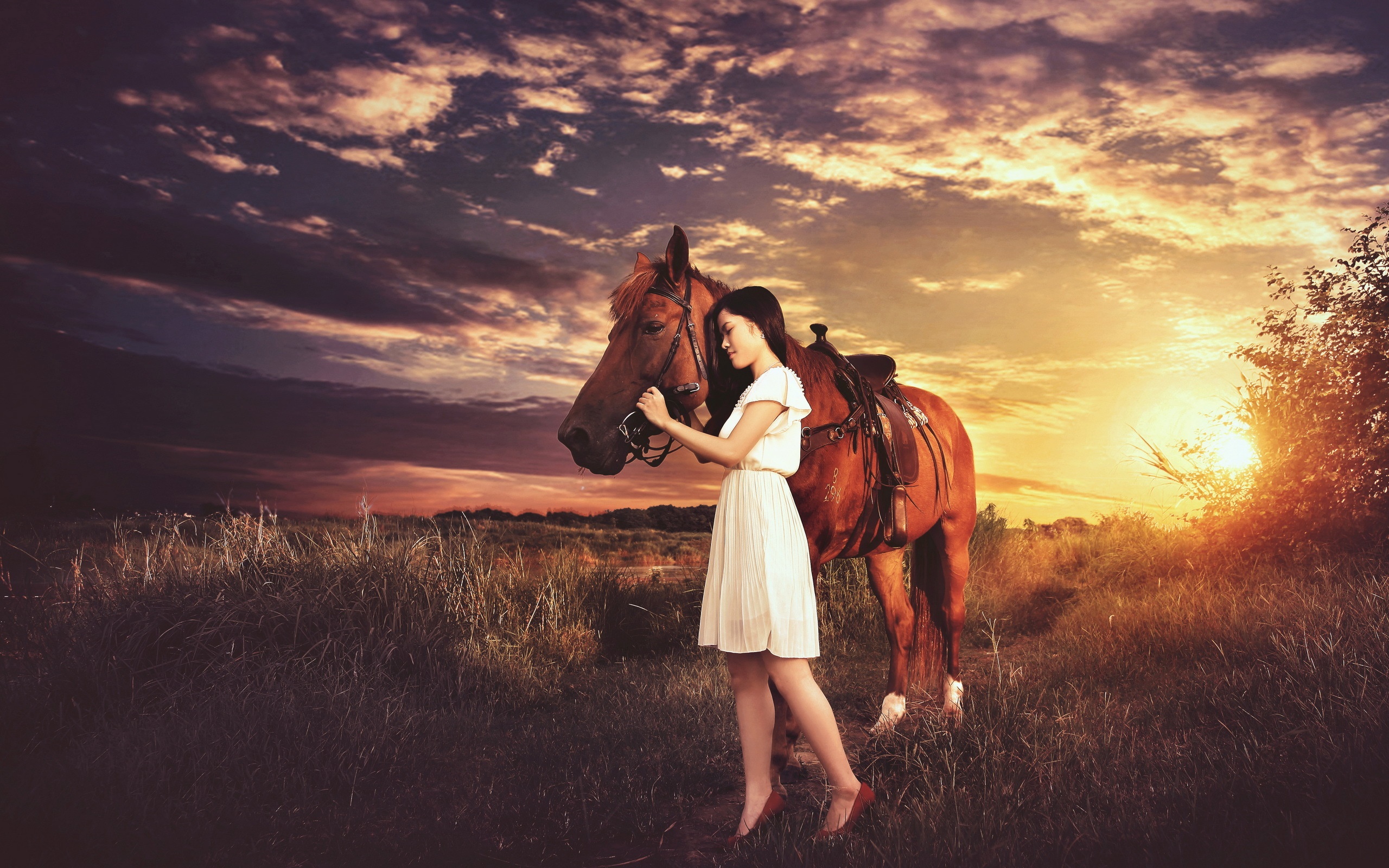 Woman in white dress with horse at sunset HD Wallpaper