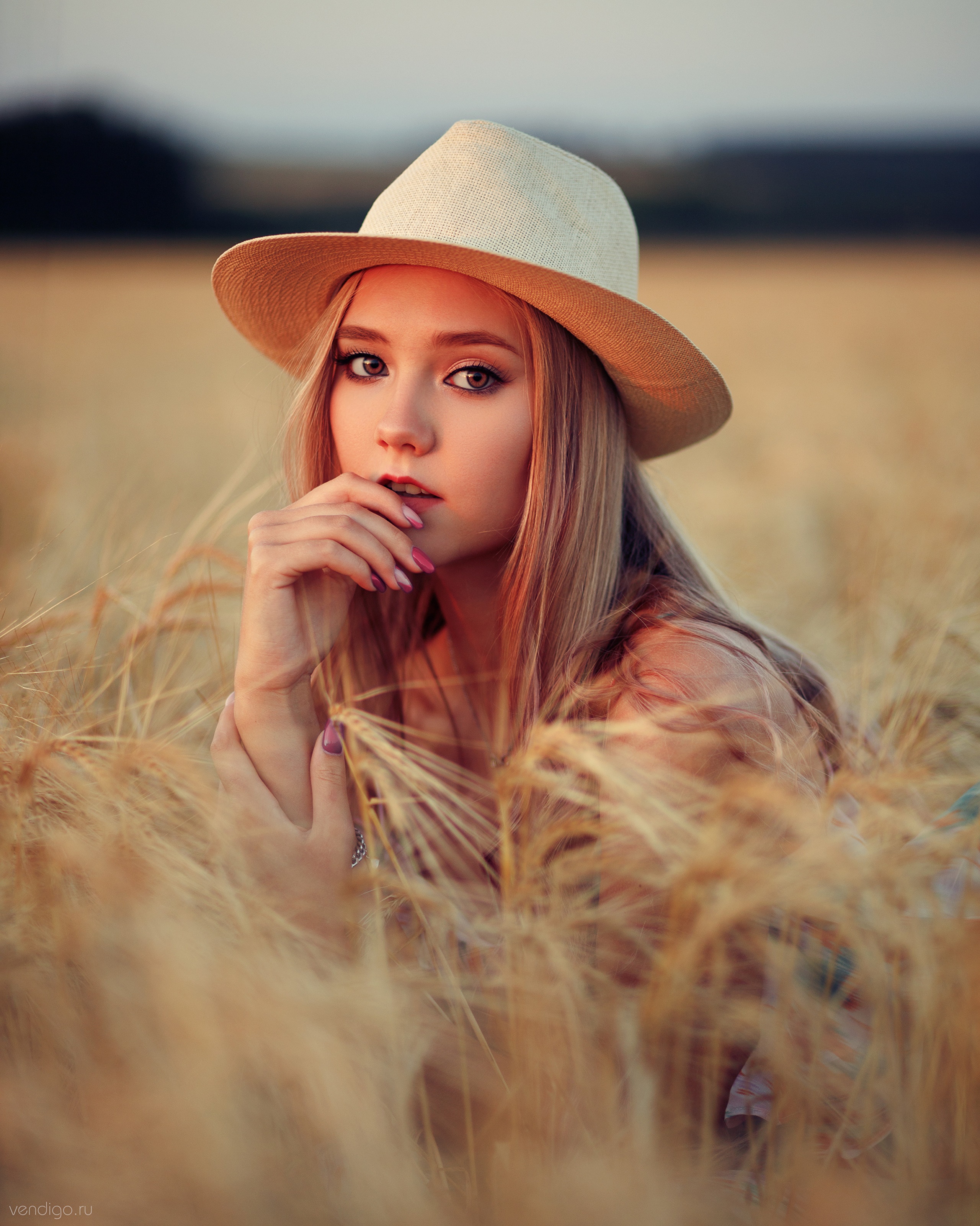 Darina in a hat in a wheat field HD Phone Wallpaper