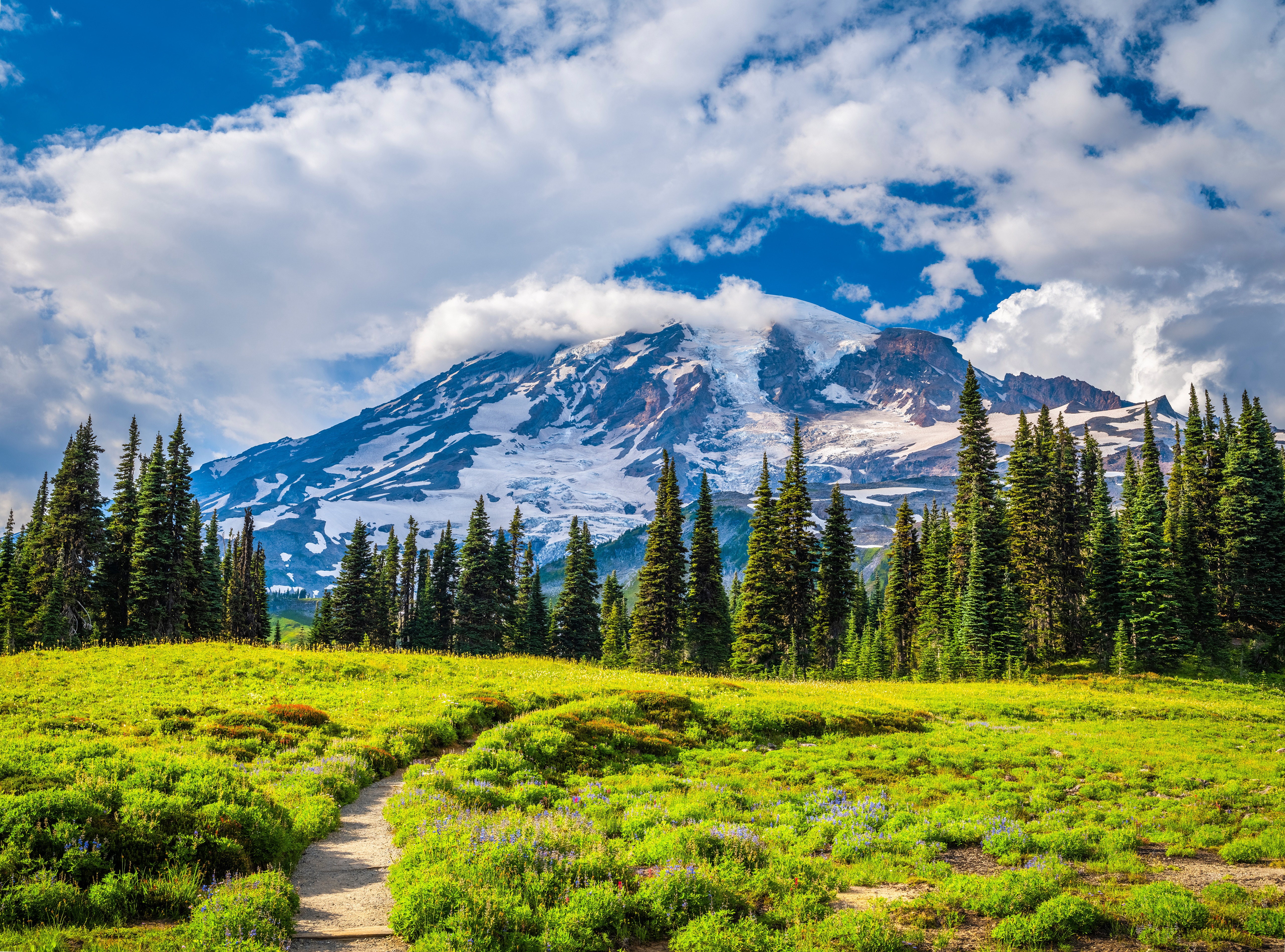 Mount Rainier National Park Trail with Snow-Capped Mountain HD Wallpaper