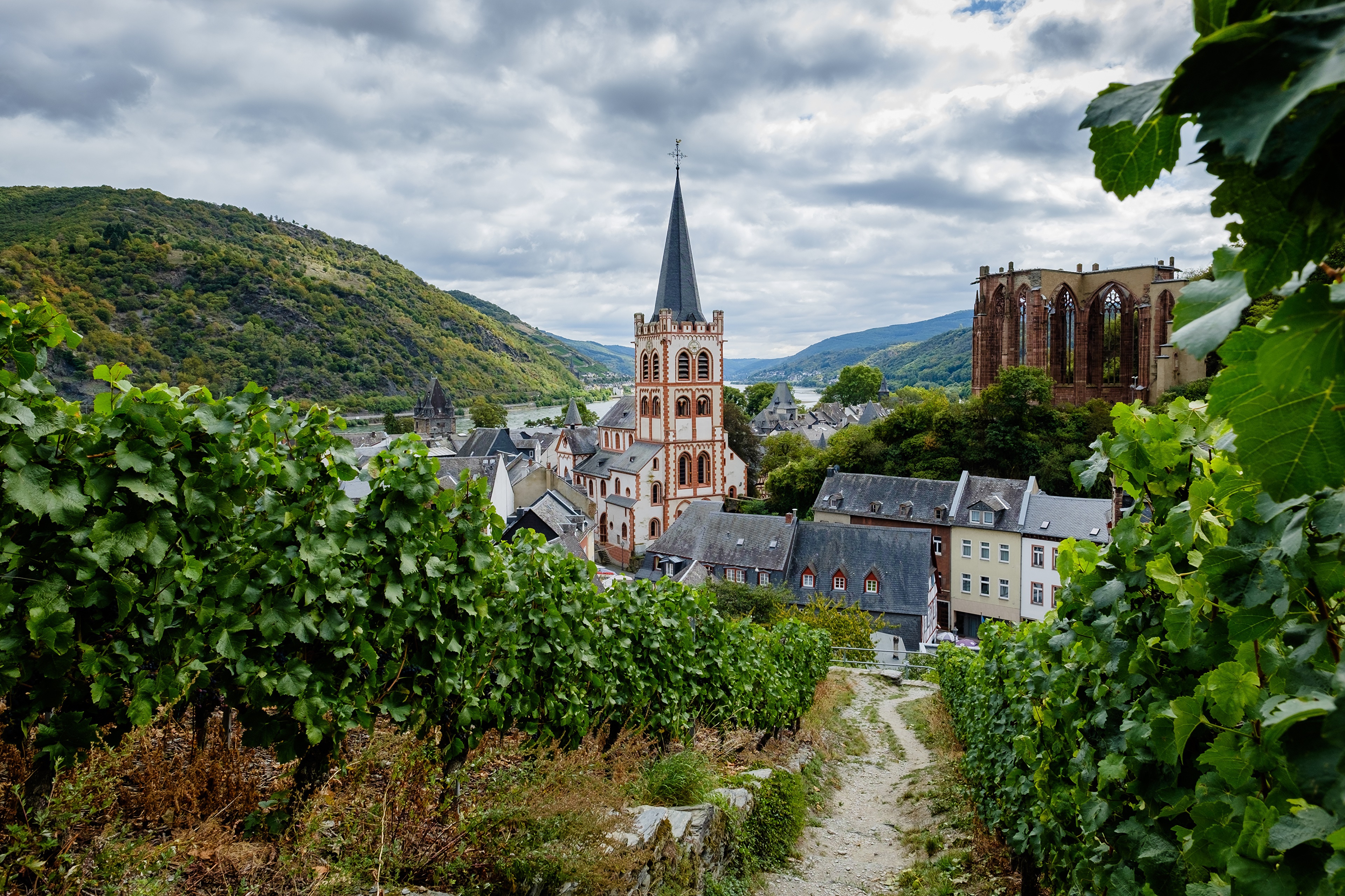 Bacharach, Germany: Church, Mountains, and Vineyard HD Wallpaper
