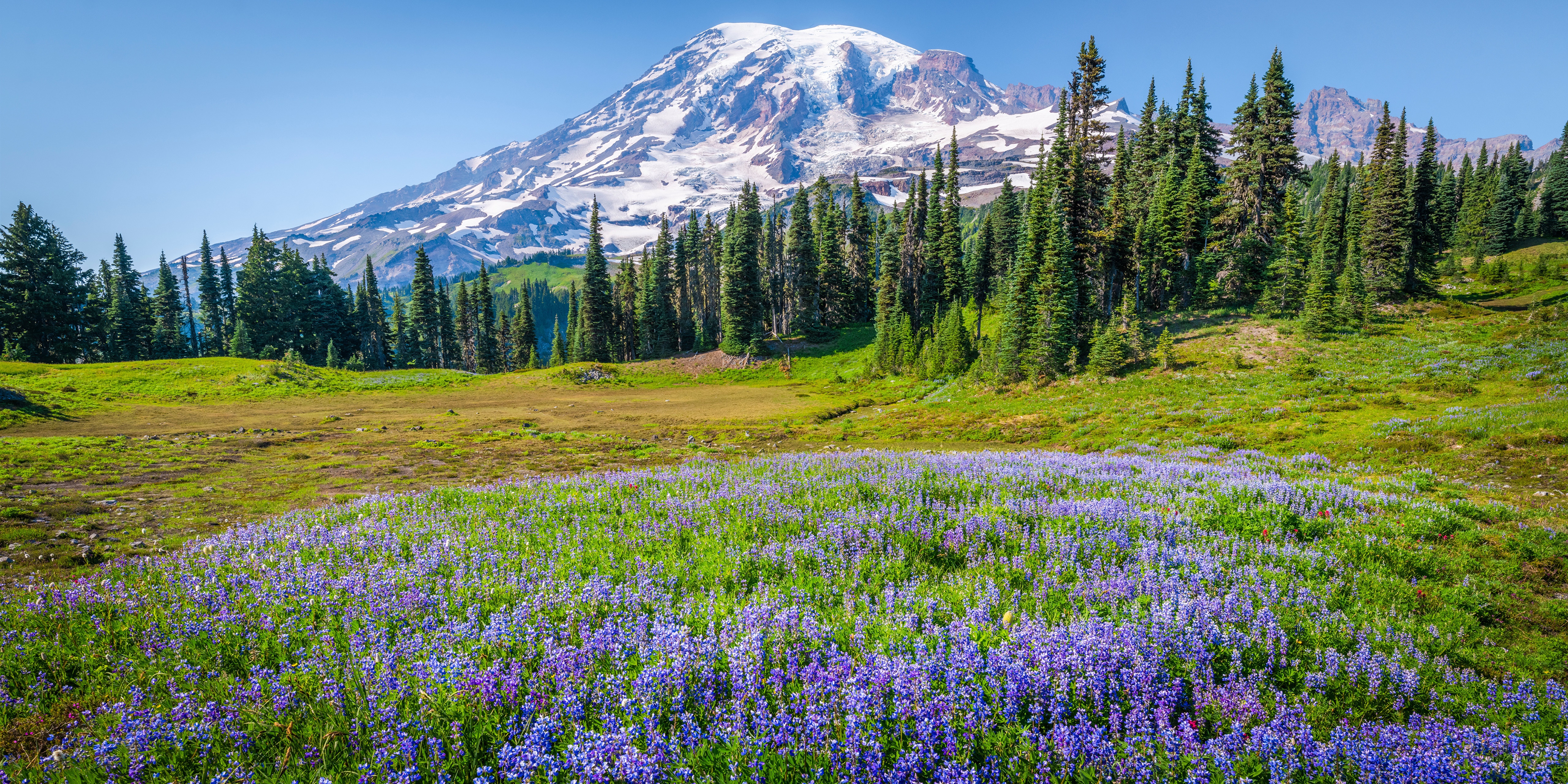 Mount Rainier National Park Washington USA Scenery HD Wallpaper