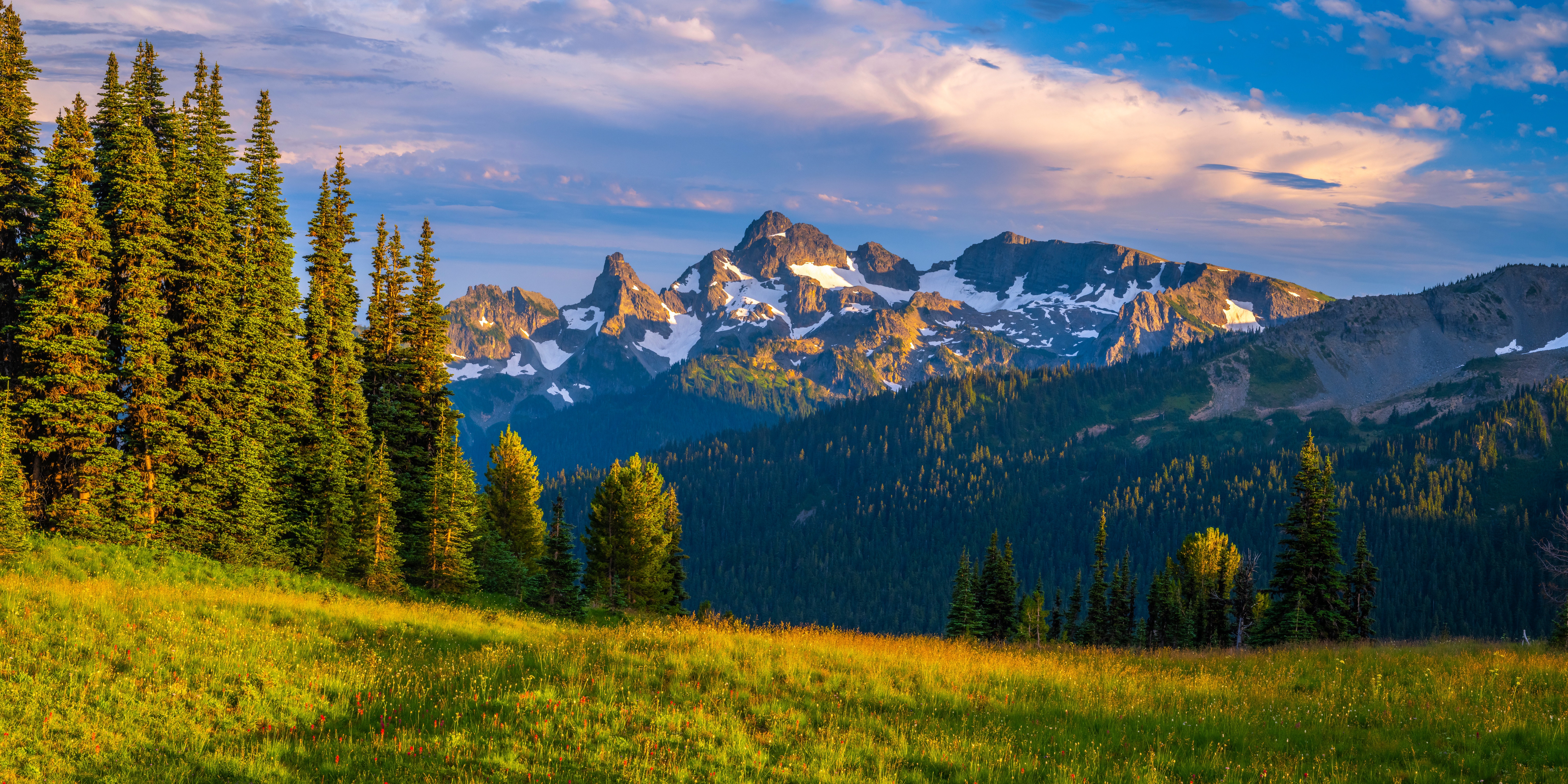 Mount Rainier National Park Panorama, Washington, USA HD Wallpaper