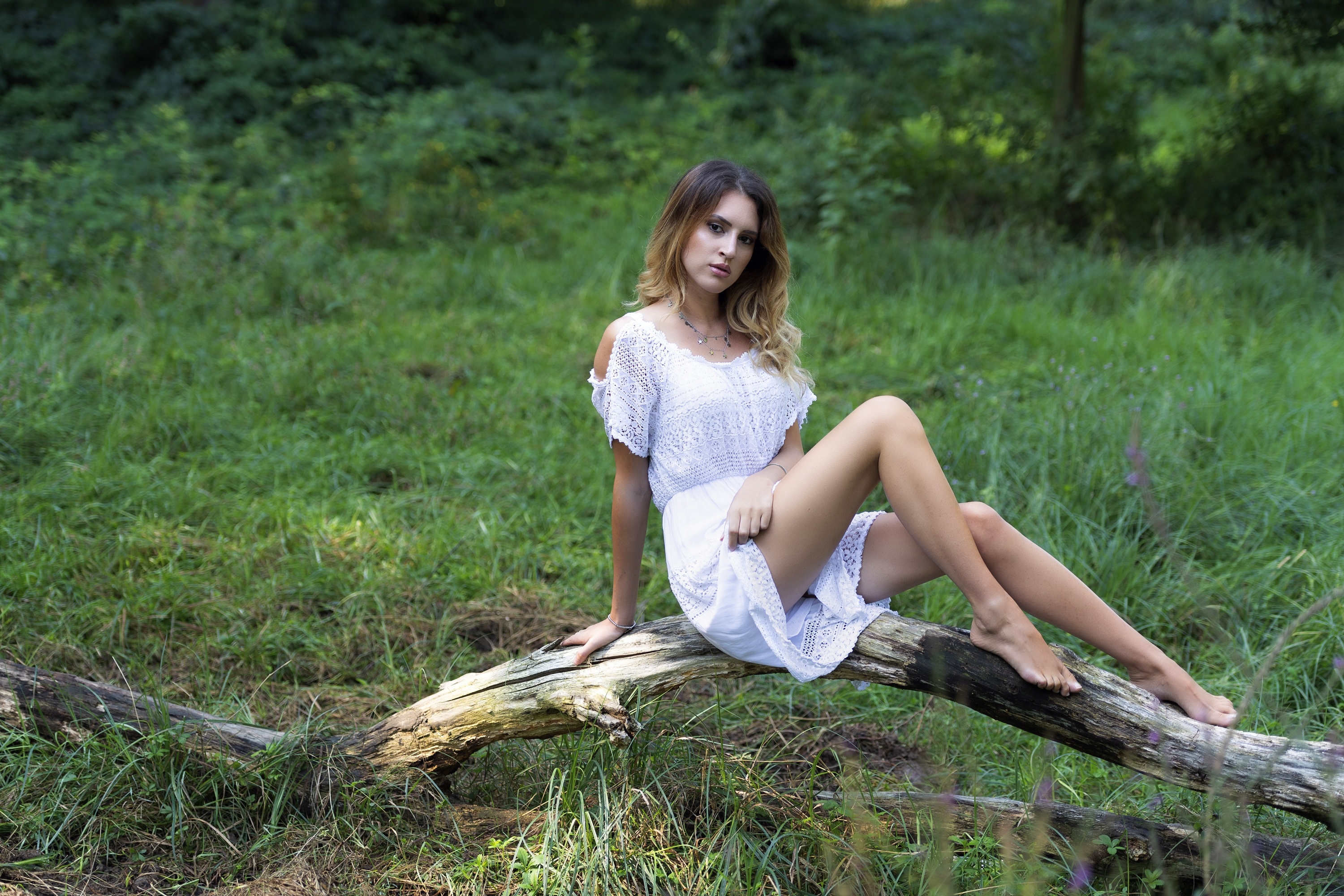 Chiara sitting on a log in a grassy field HD Wallpaper