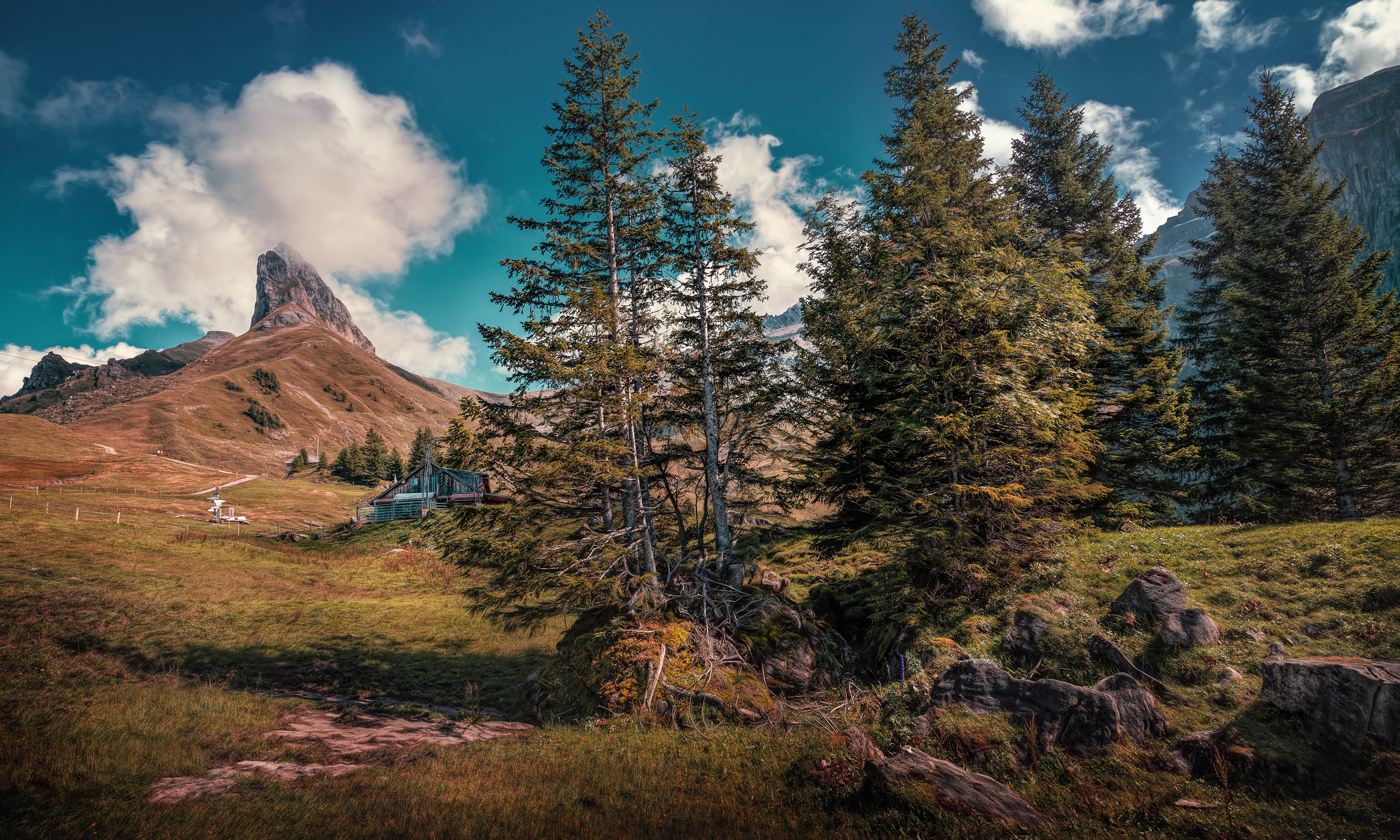 Mountain landscape with trees in Nidwalden, Switzerland HD Wallpaper