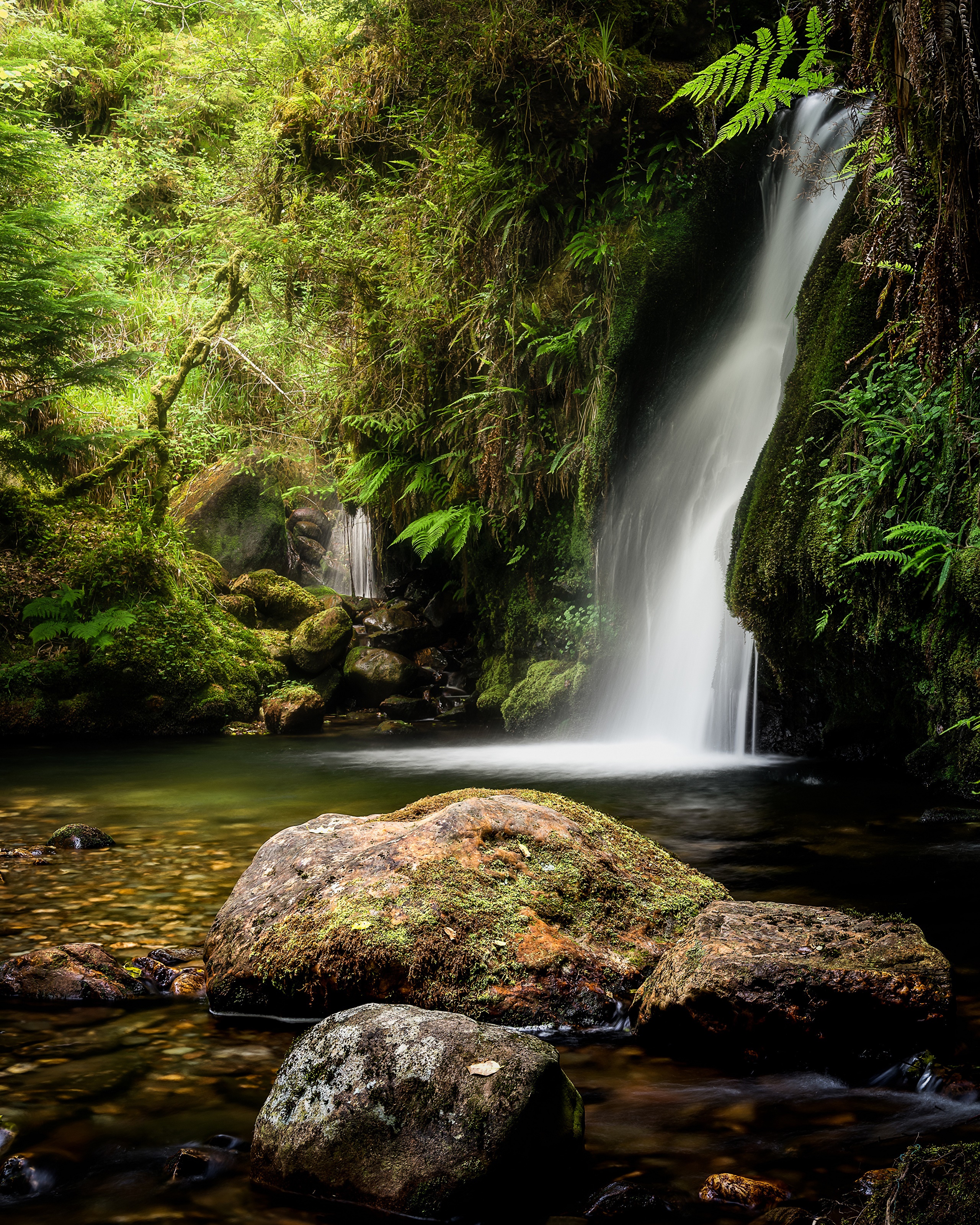 Waterfall cascading into a pool with moss-covered rocks HD Phone Wallpaper