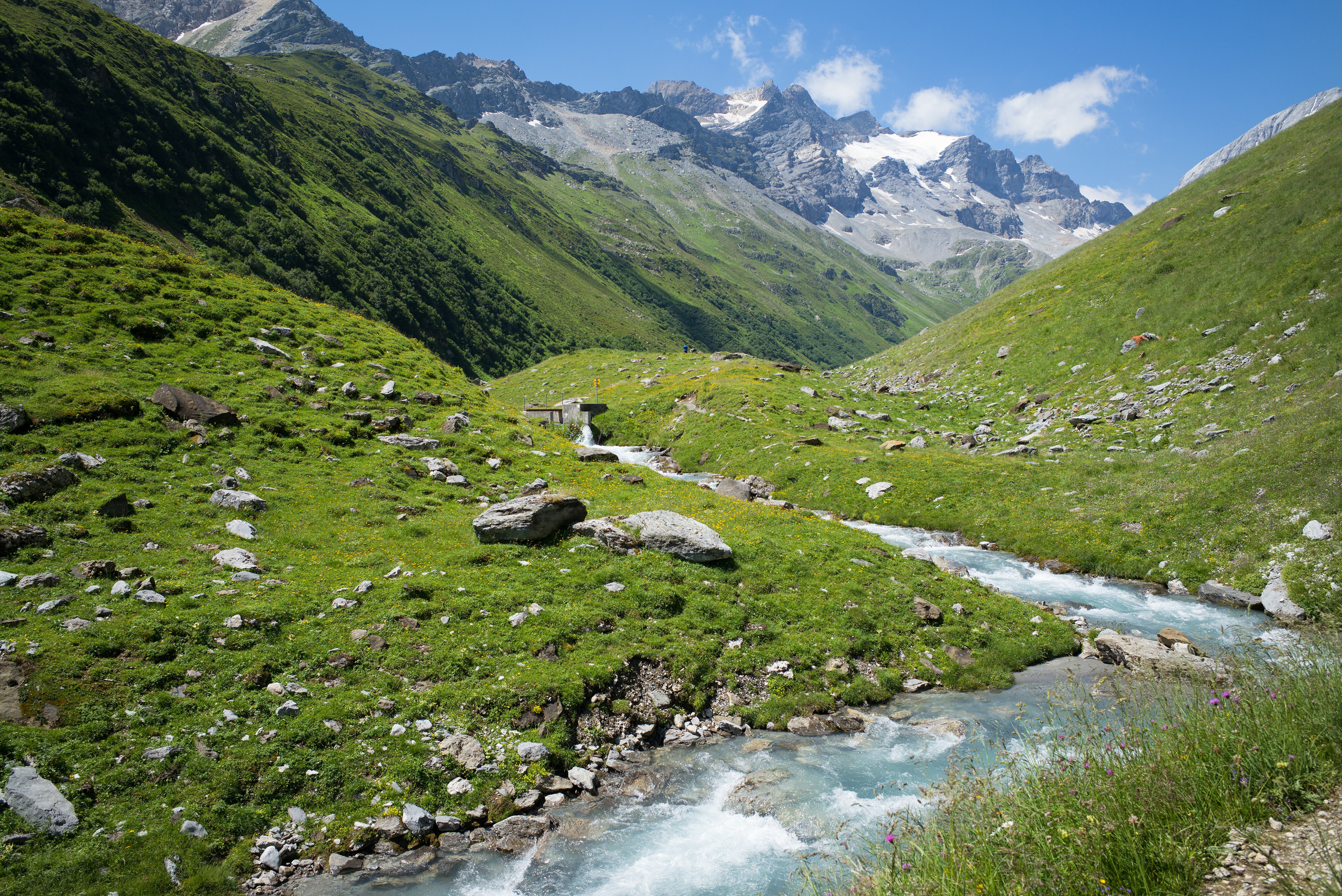River flowing through a green valley in the Swiss Alps HD Wallpaper