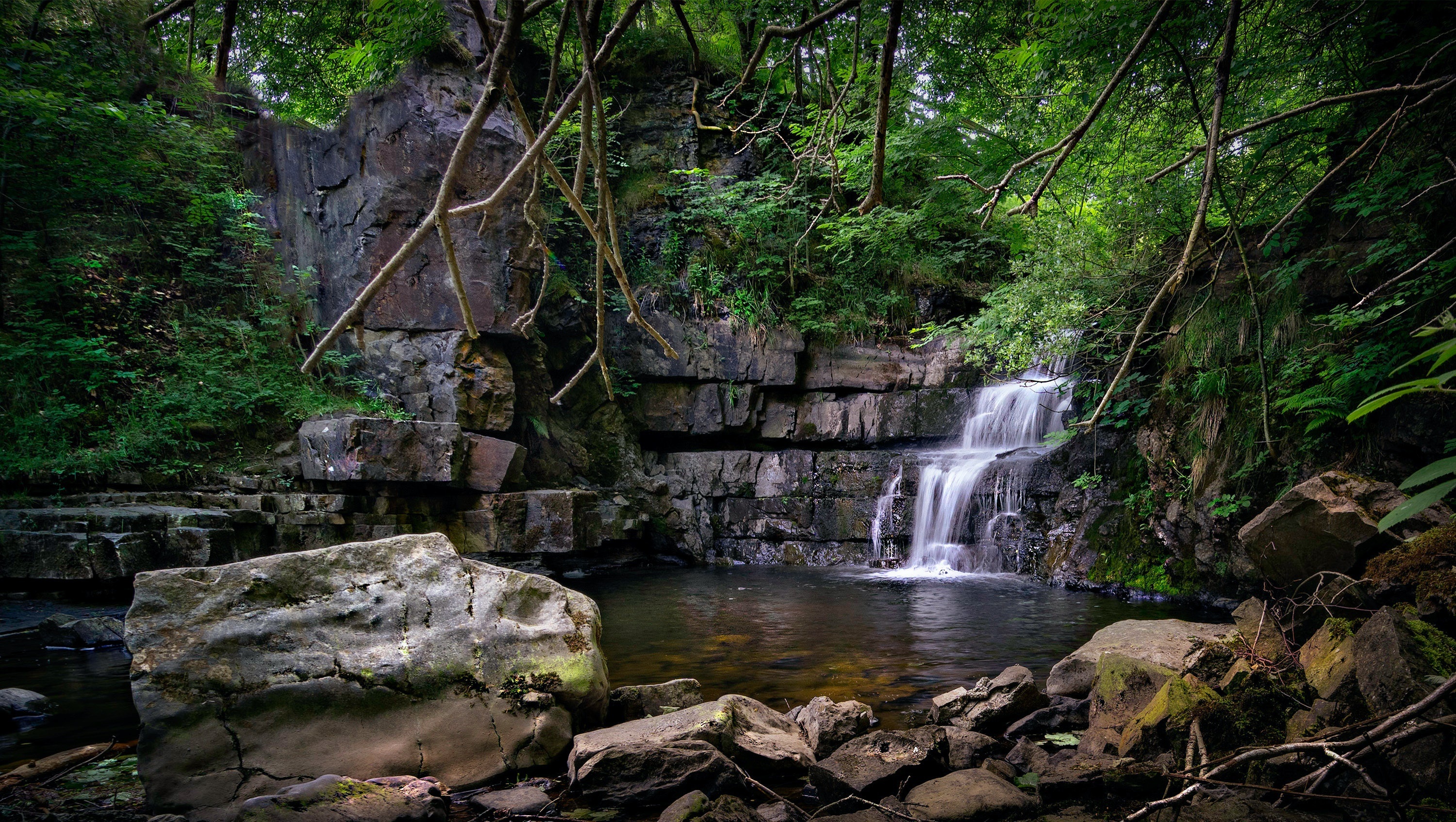 Waterfall cascading over layered rocks in a forest HD Wallpaper