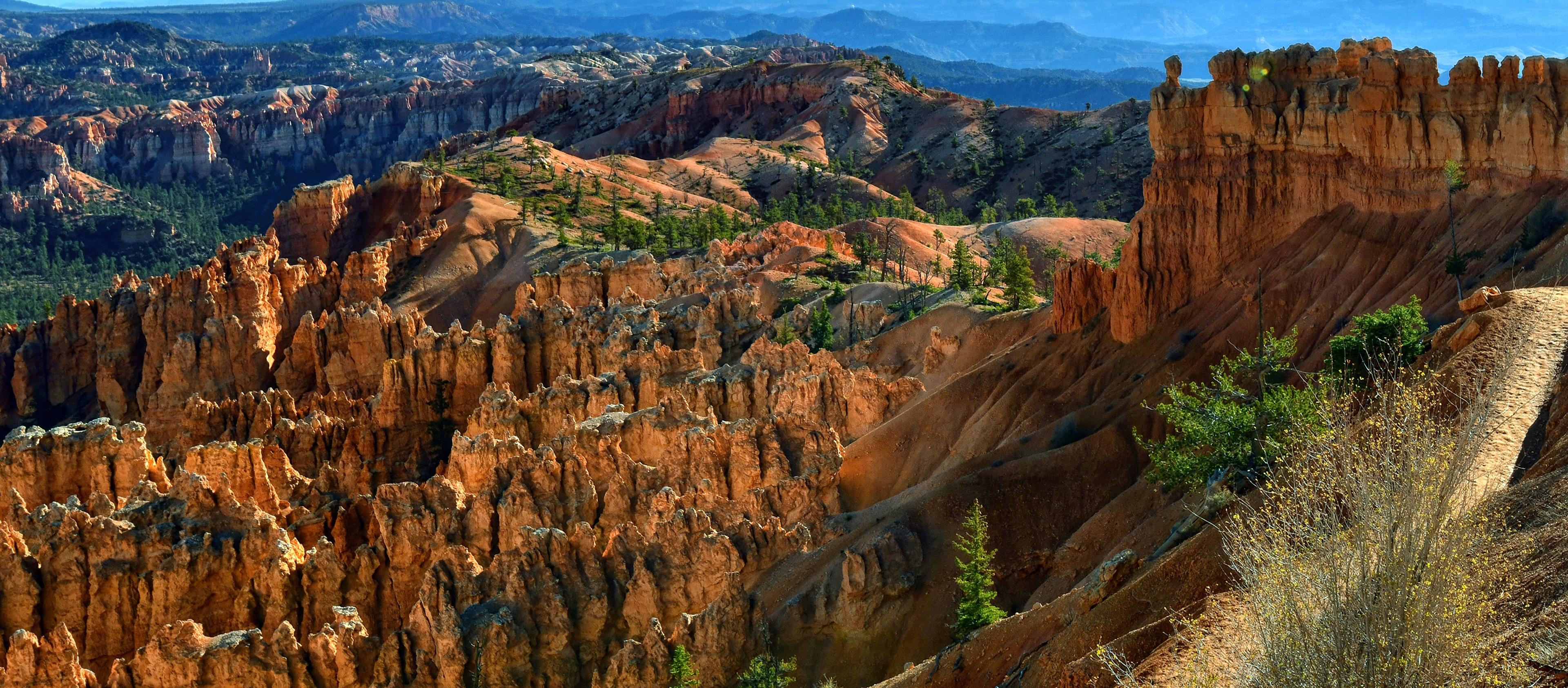Bryce Canyon National Park Hoodoos USA HD Wallpaper