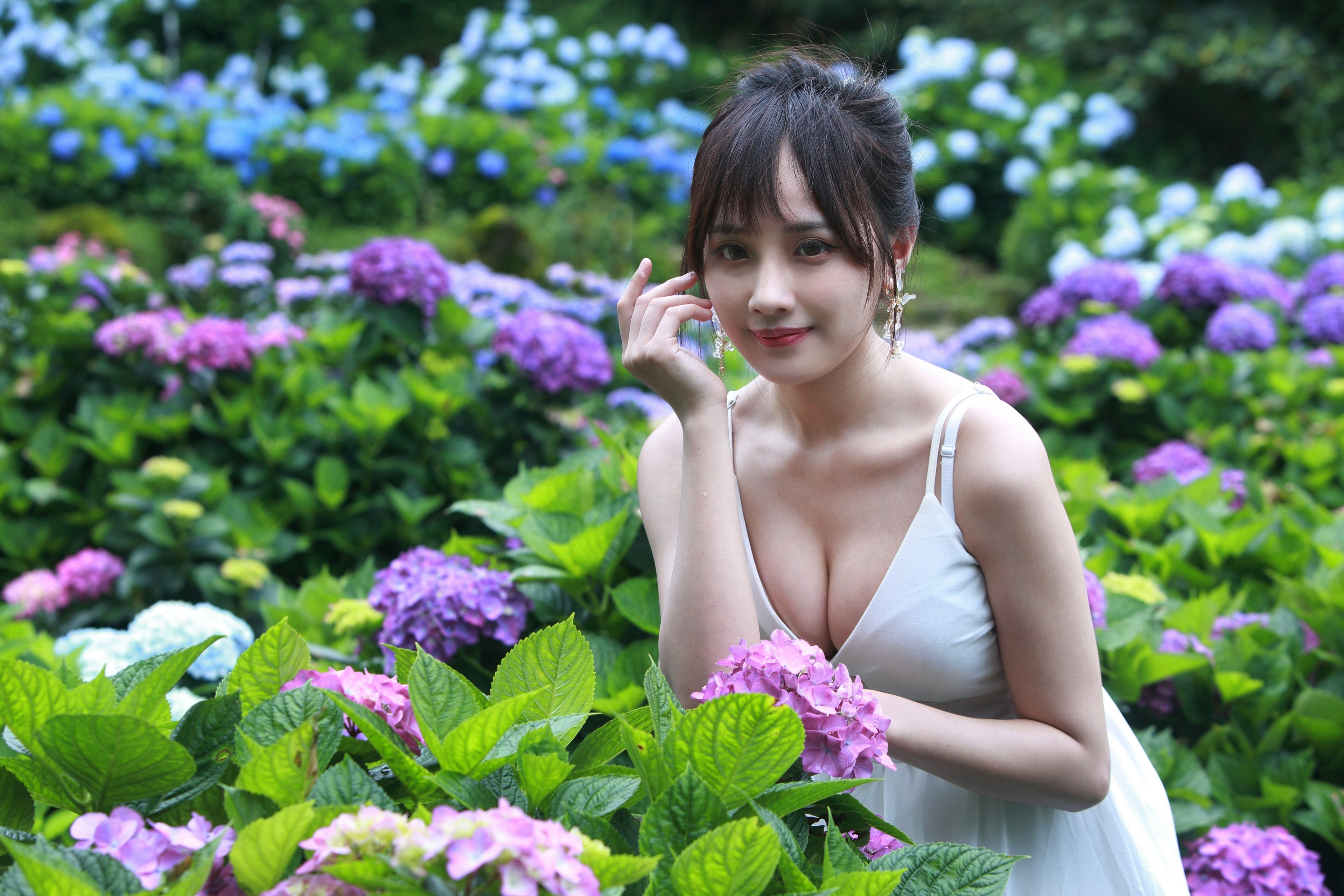 Asian woman in white dress among hydrangeas HD Wallpaper