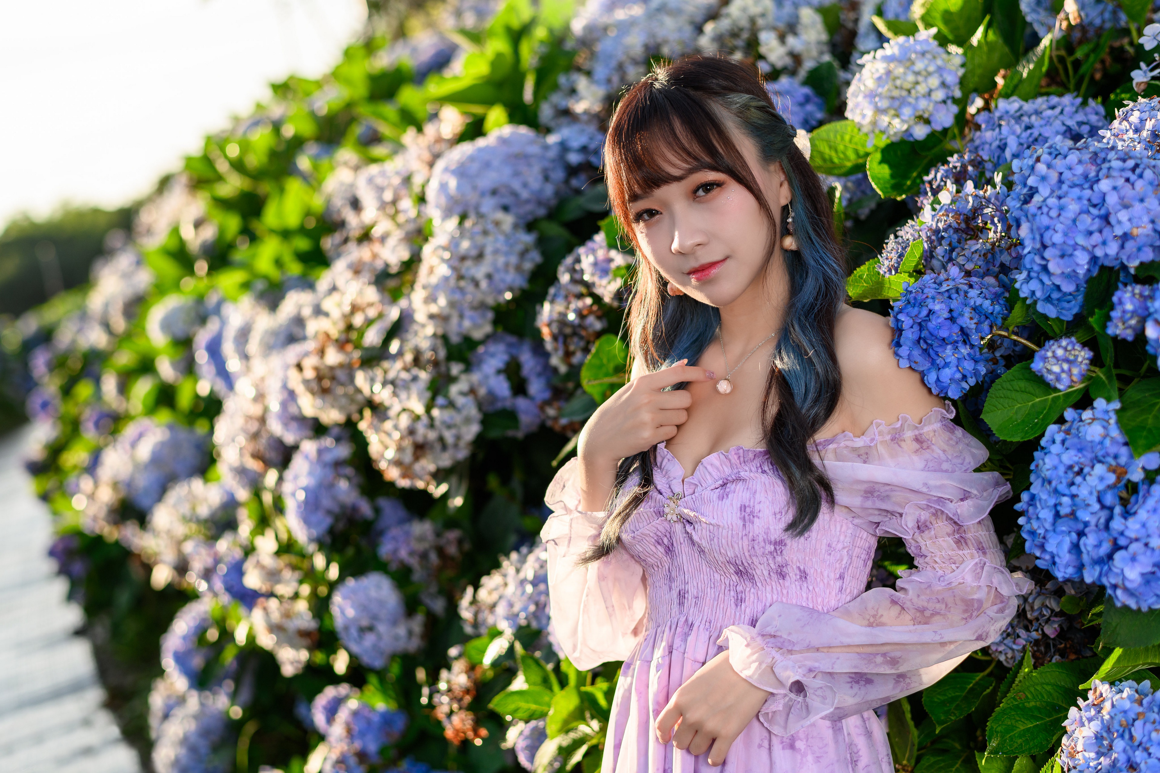 Asian woman in a purple dress among hydrangeas HD Wallpaper