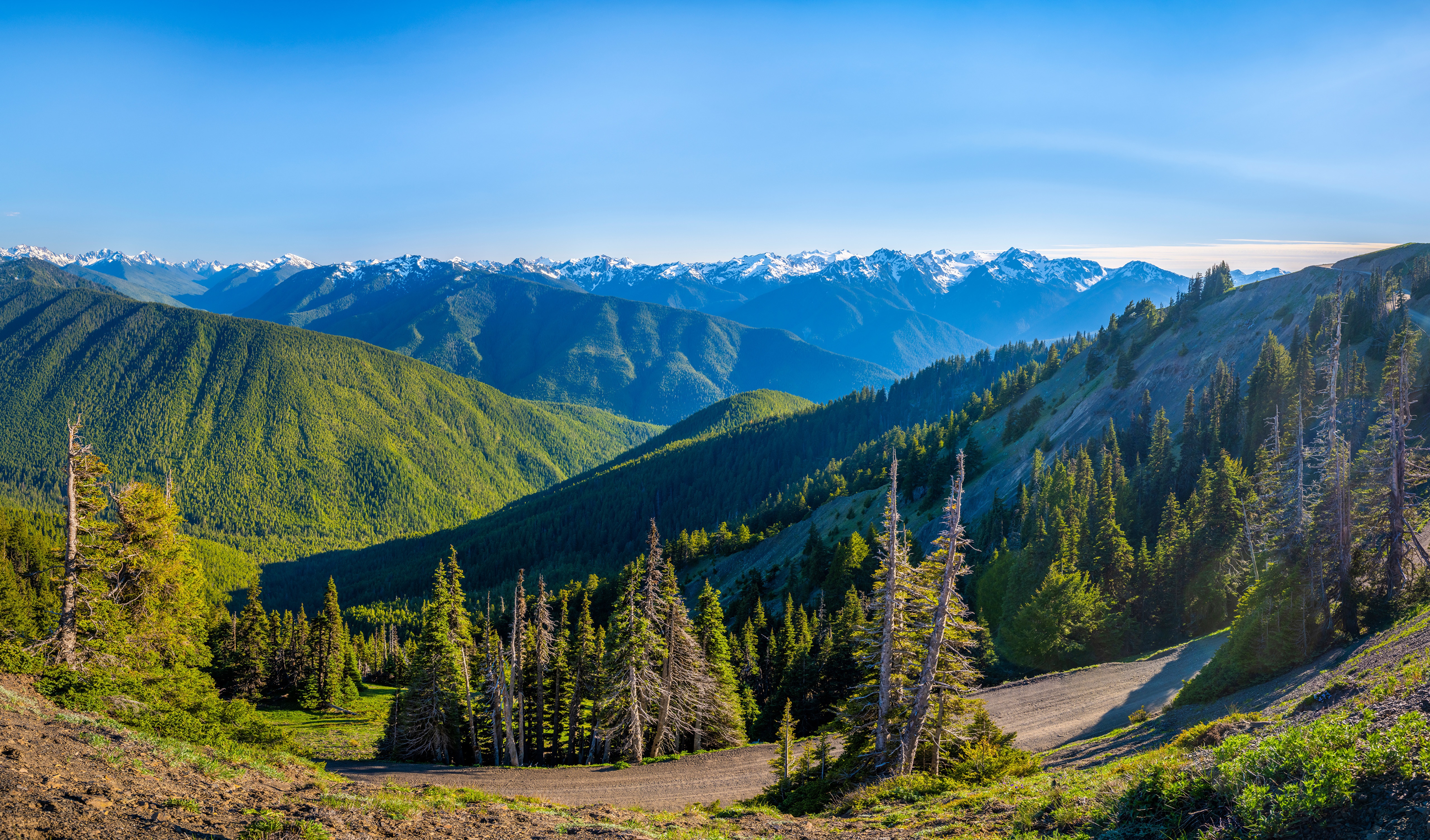 Olympic National Park Mountains Washington USA HD Wallpaper