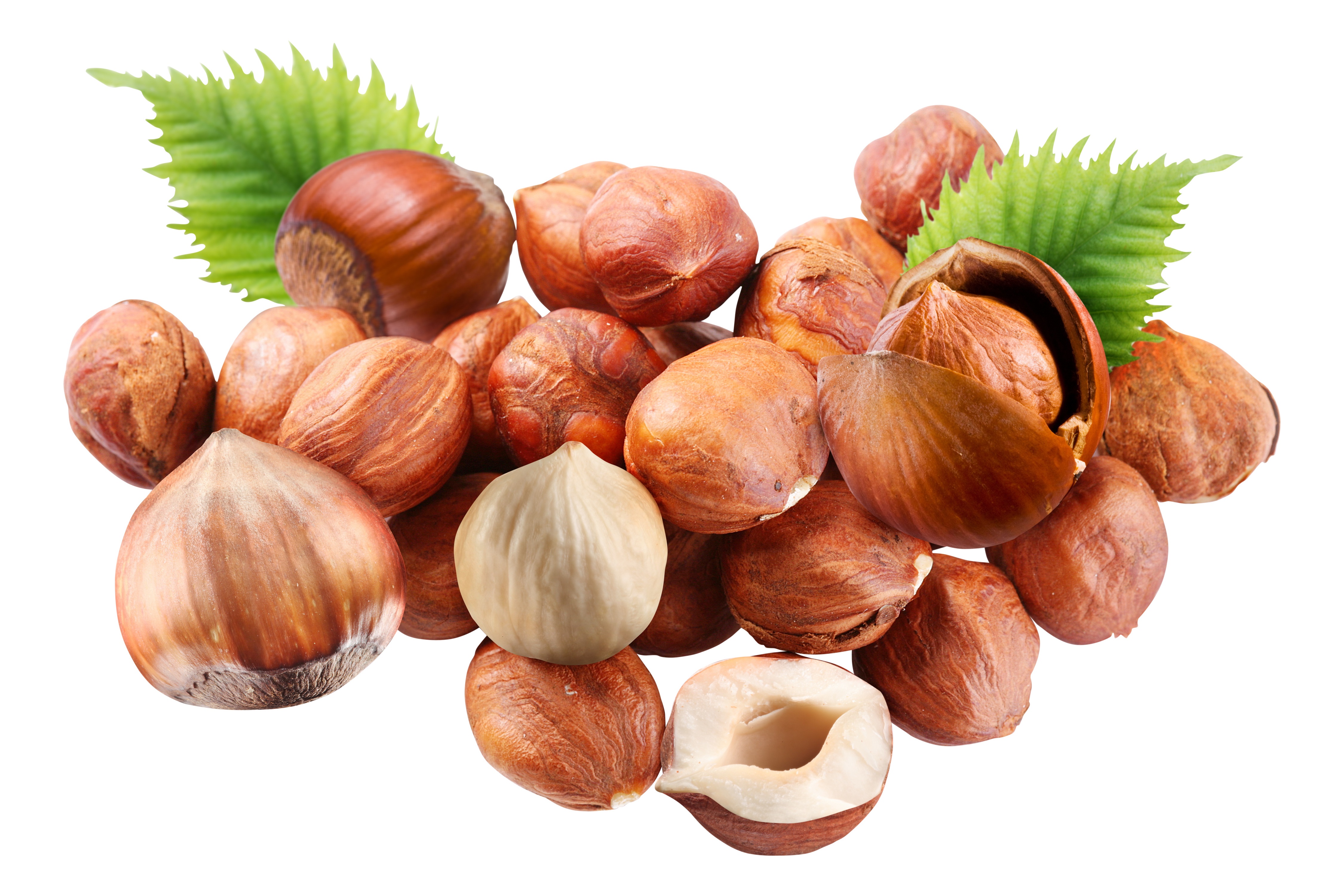 4K Hazelnut Nuts Closeup HD Wallpaper