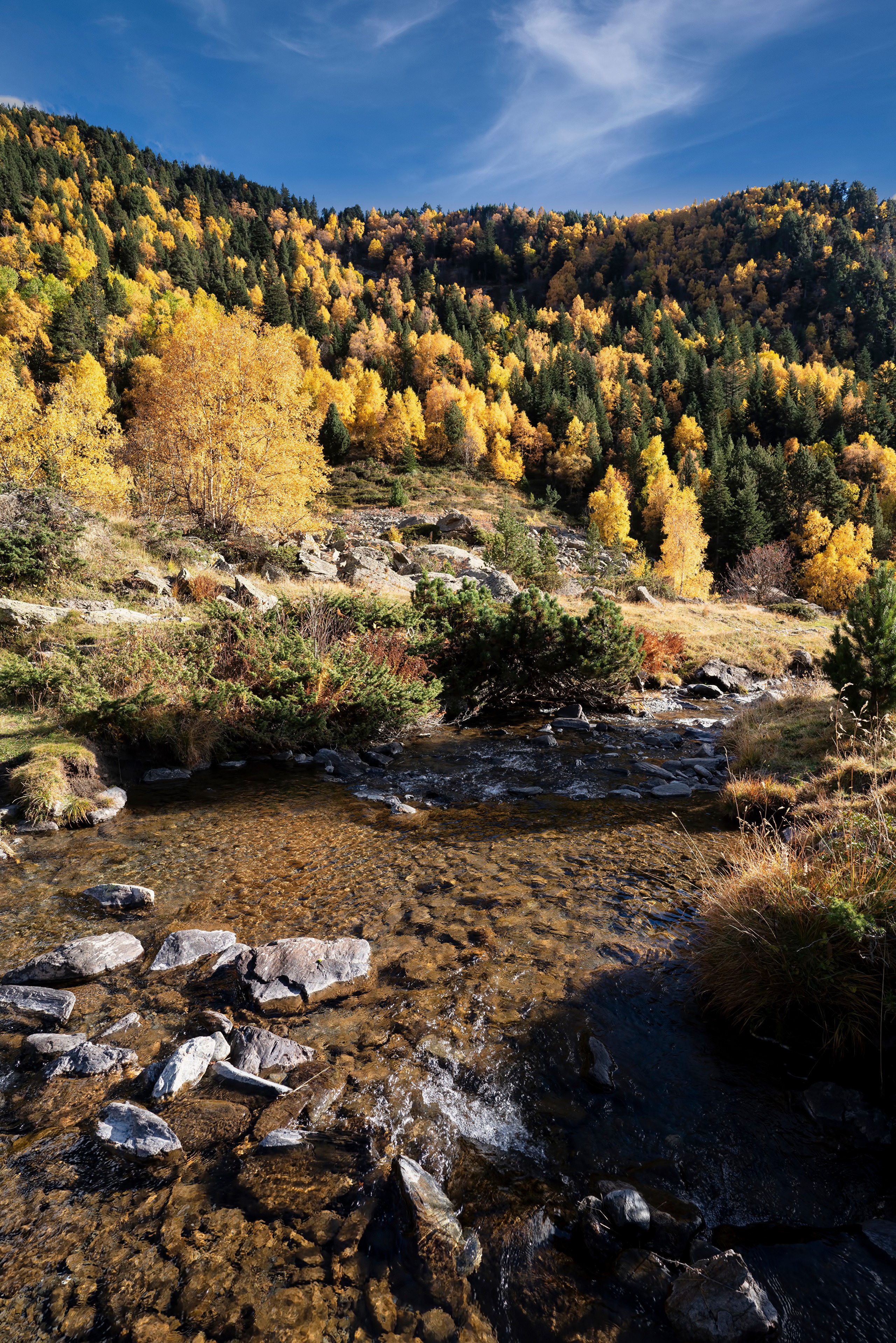Autumn forest and river in Andorra HD Phone Wallpaper