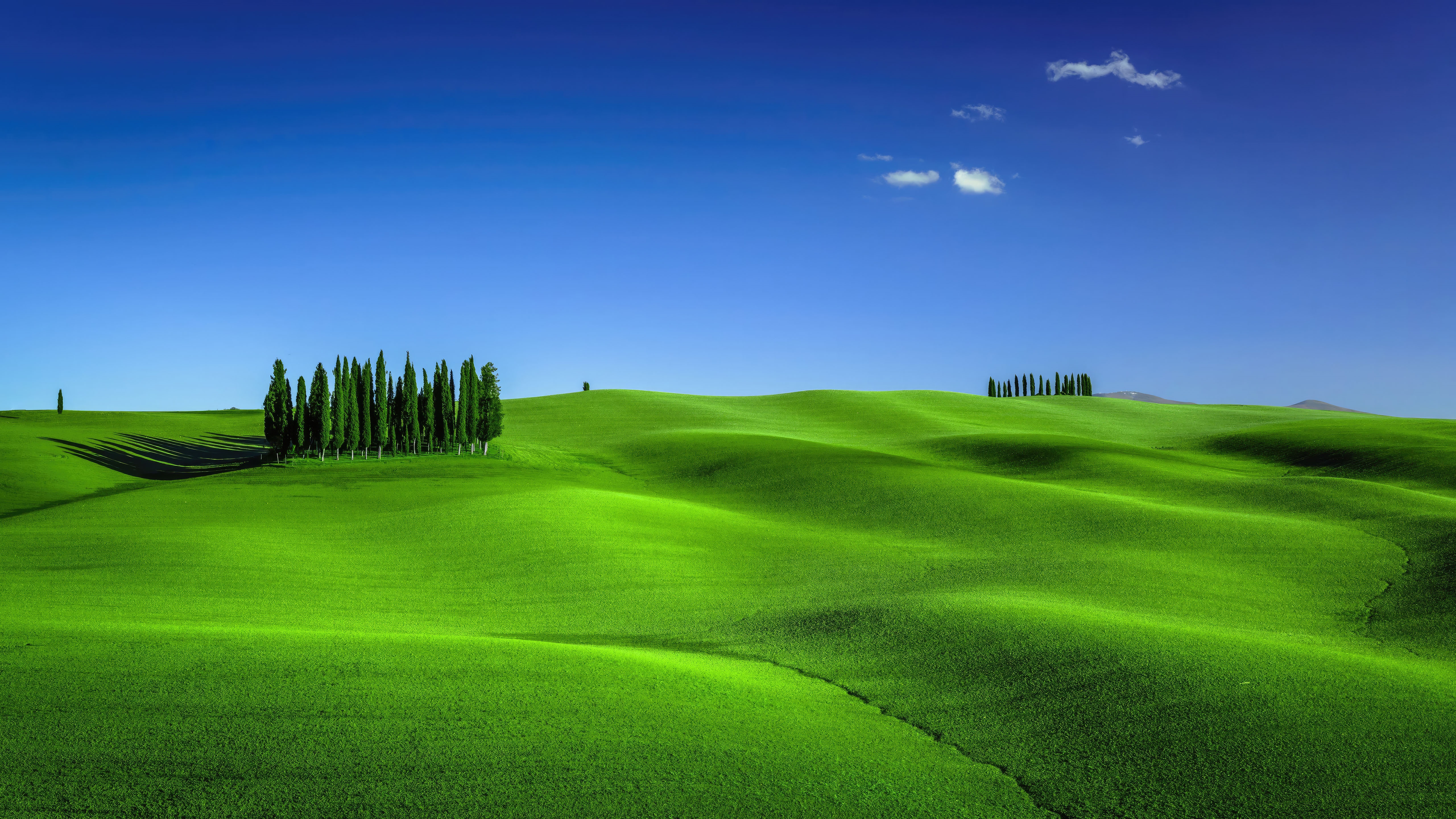 Green rolling hills with cypress trees under blue sky HD Wallpaper