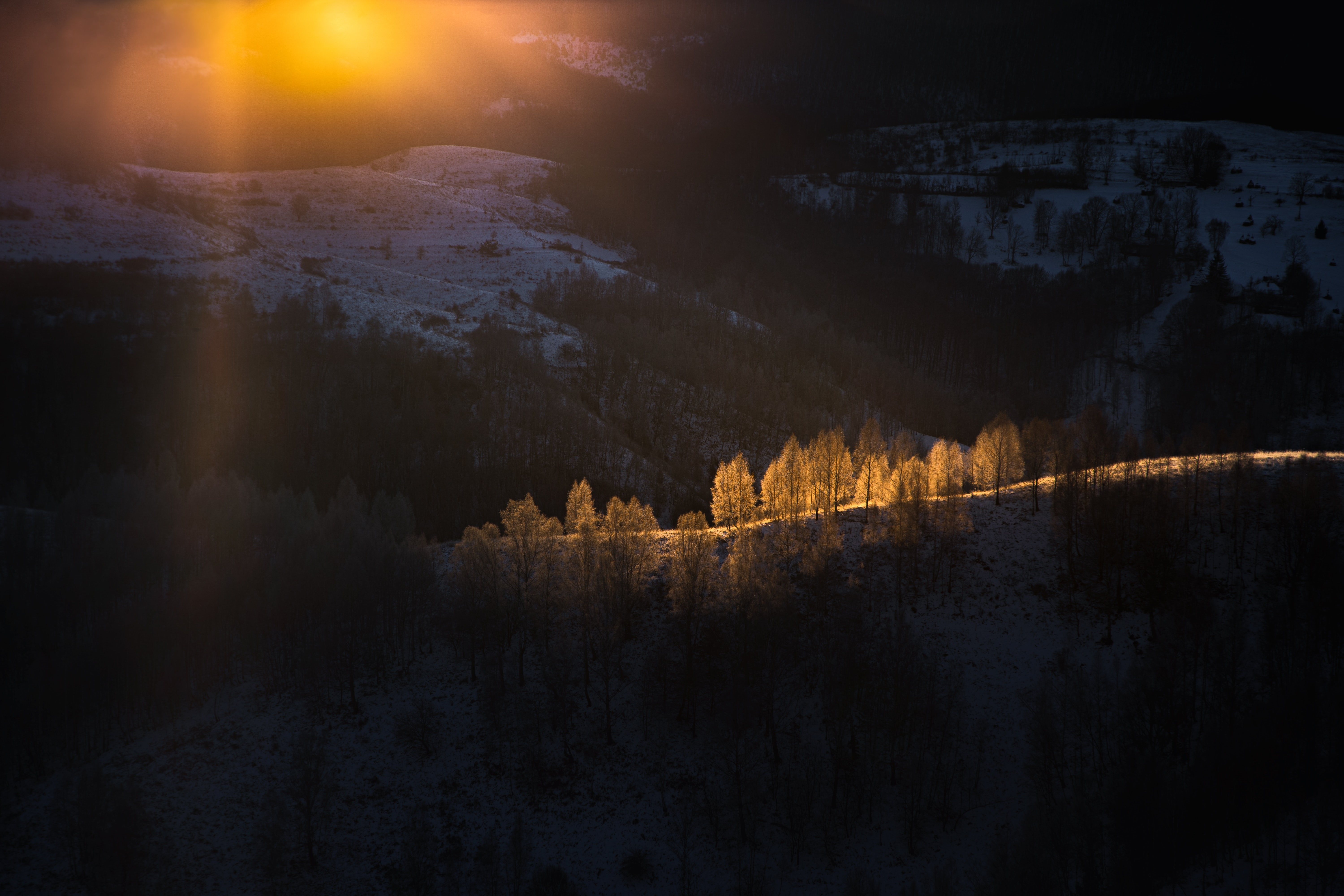 Sunlight on snowy hills and trees HD Wallpaper