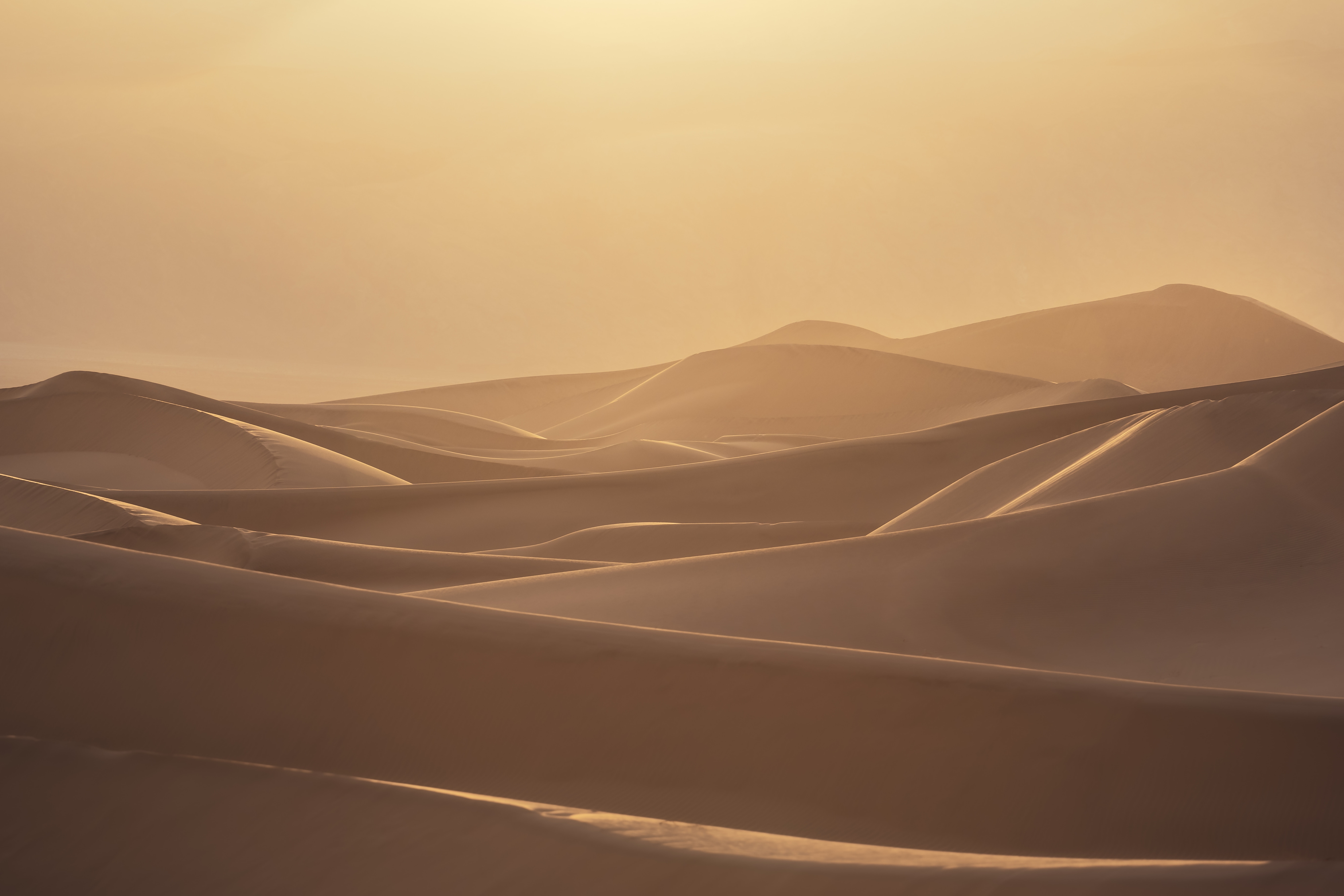 Desert dunes at sunset HD Wallpaper