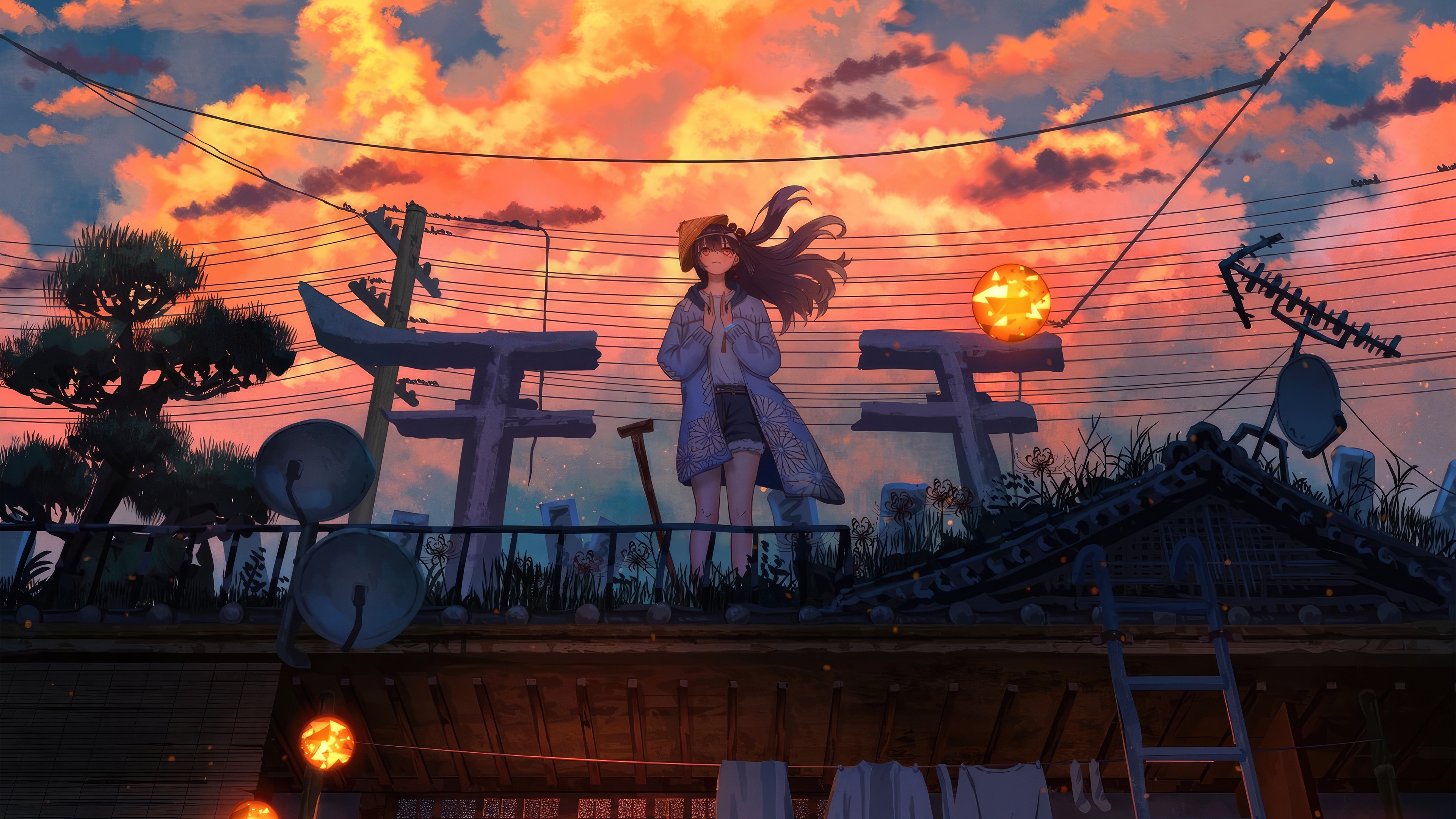 Anime girl on a rooftop at sunset HD Wallpaper