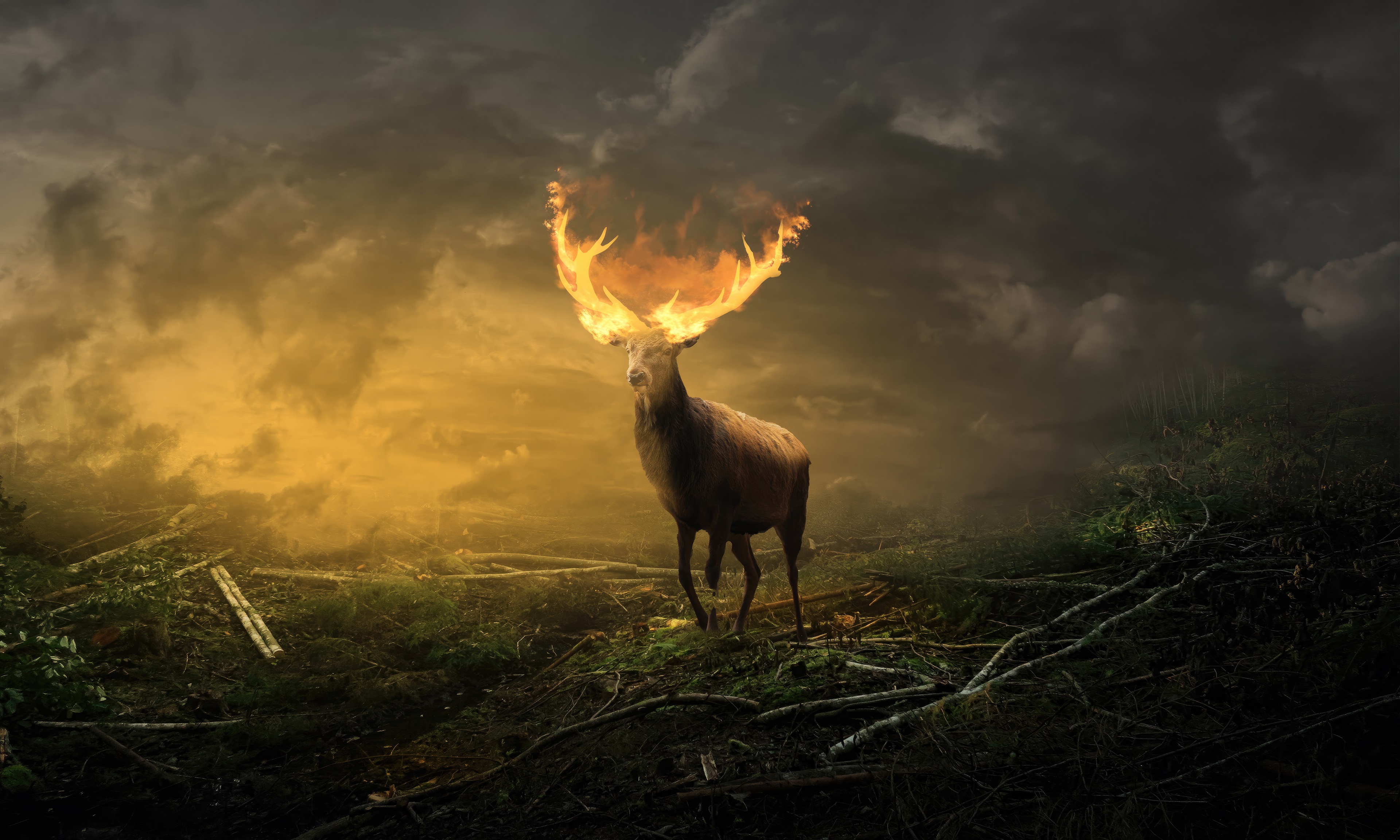 Deer with flaming antlers in a forest HD Wallpaper
