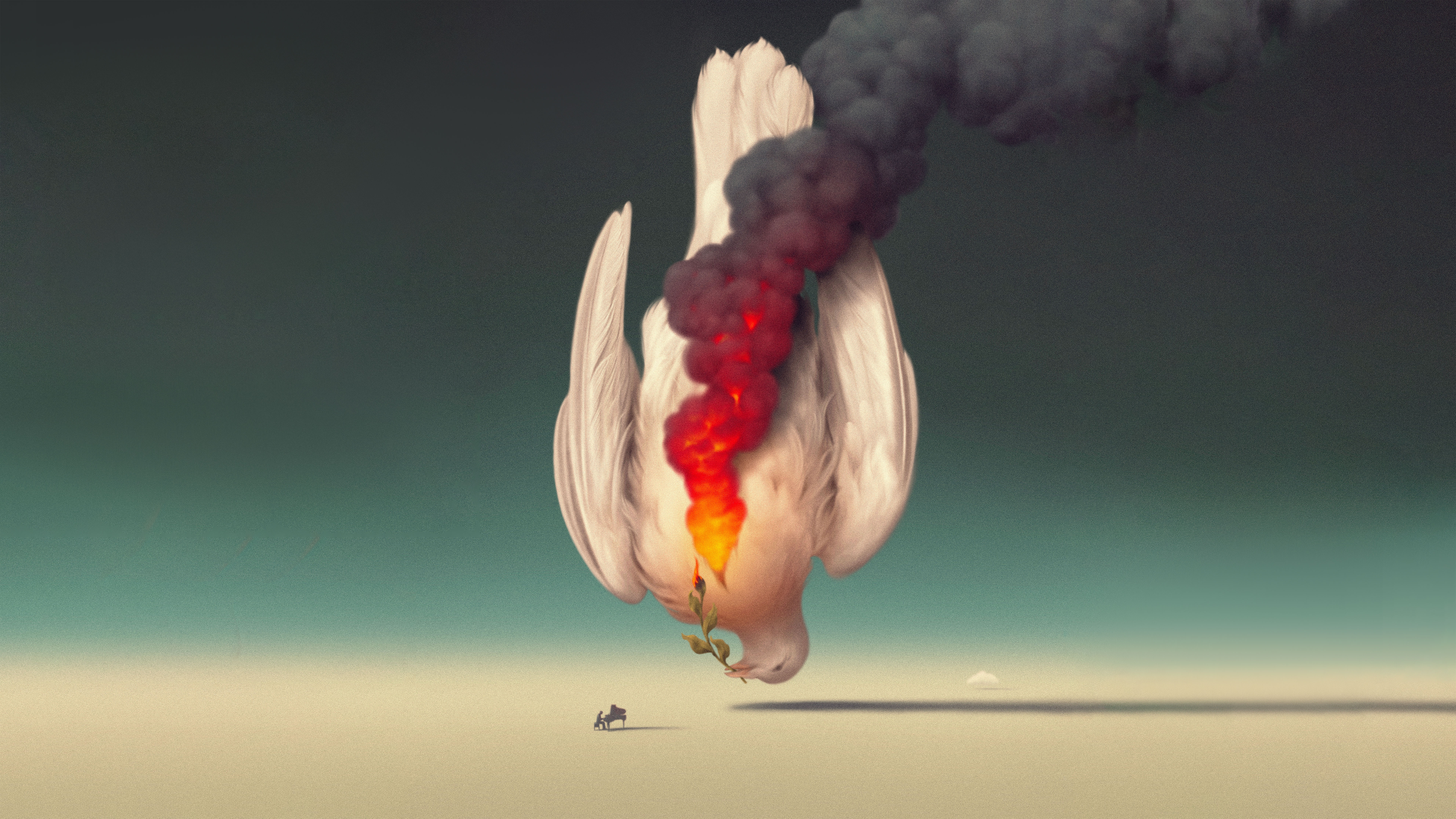 Burning Dove of Peace with a Pianist HD Wallpaper