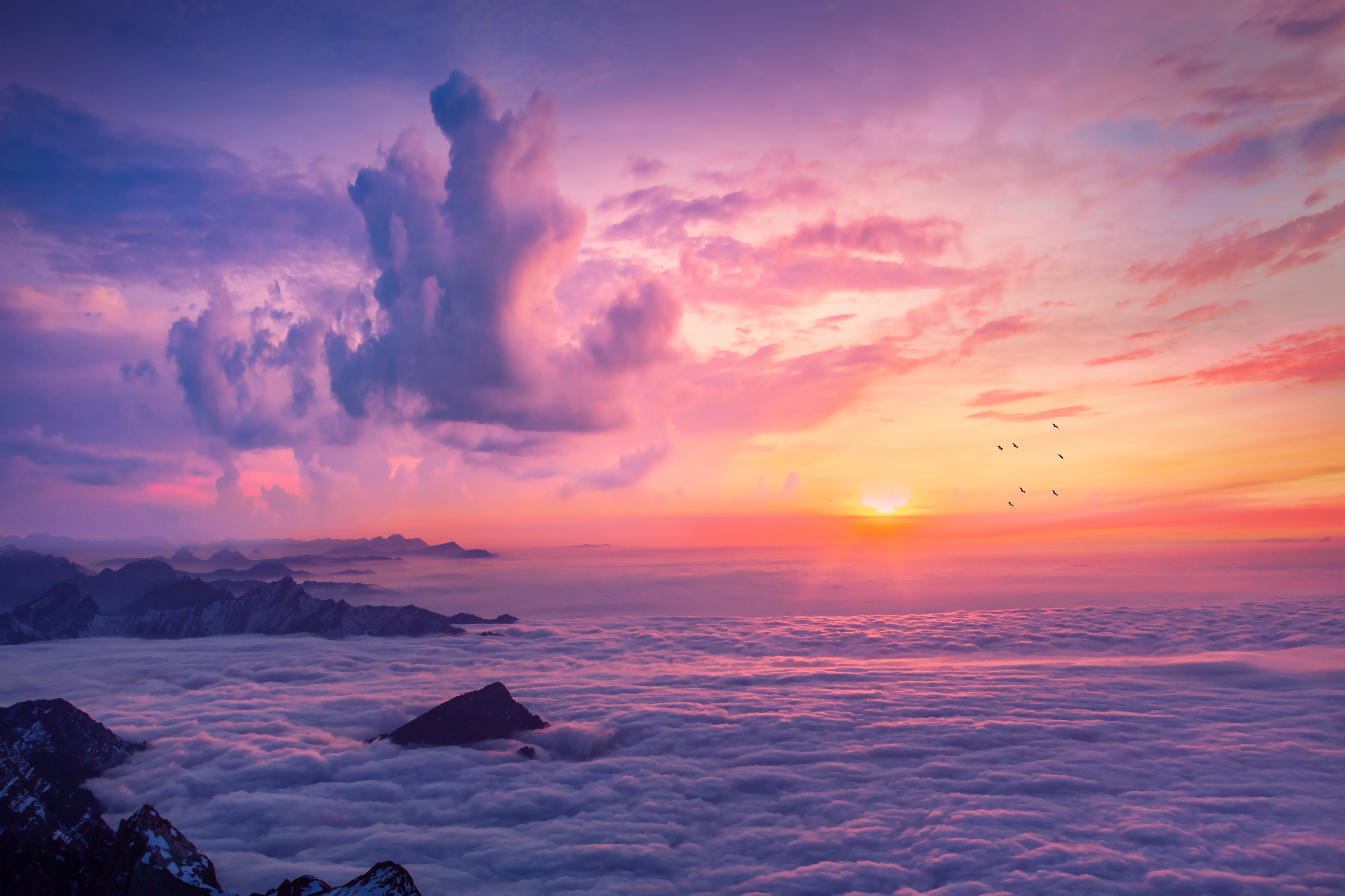 Sea of clouds at sunrise with mountains and birds HD Wallpaper