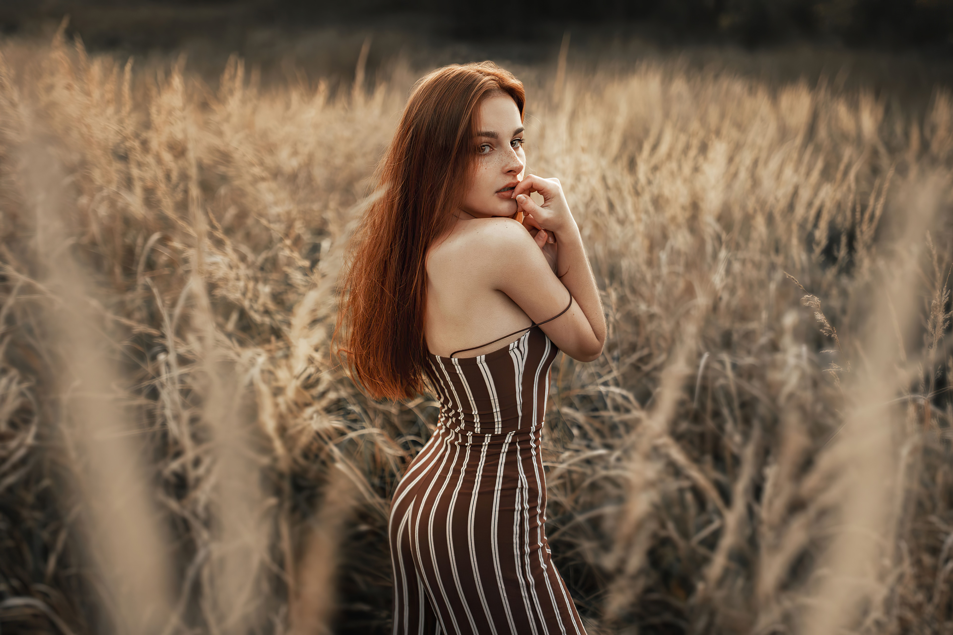 Girl in a striped dress in a field HD Wallpaper