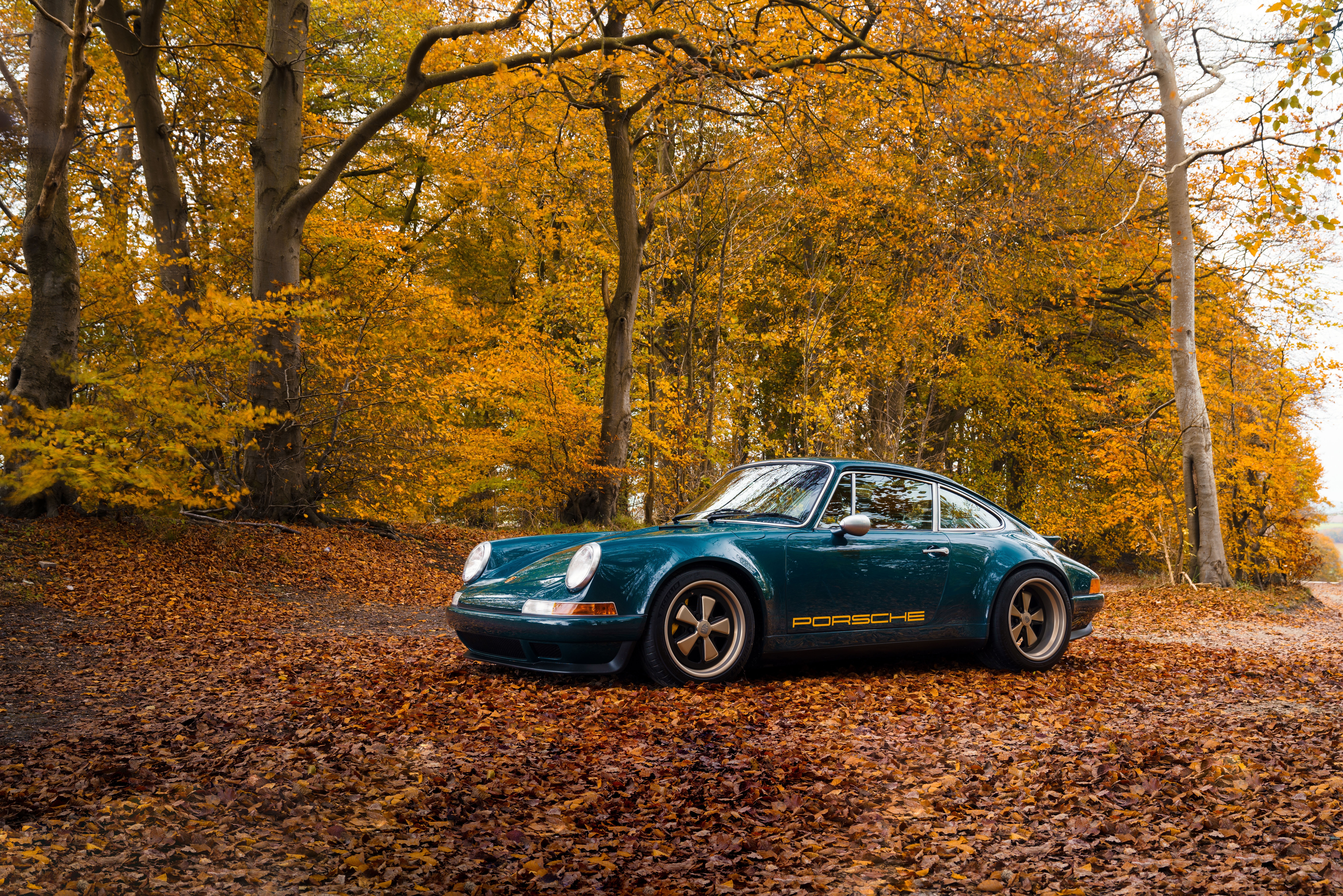 Green Porsche 911 in Autumn Forest HD Wallpaper