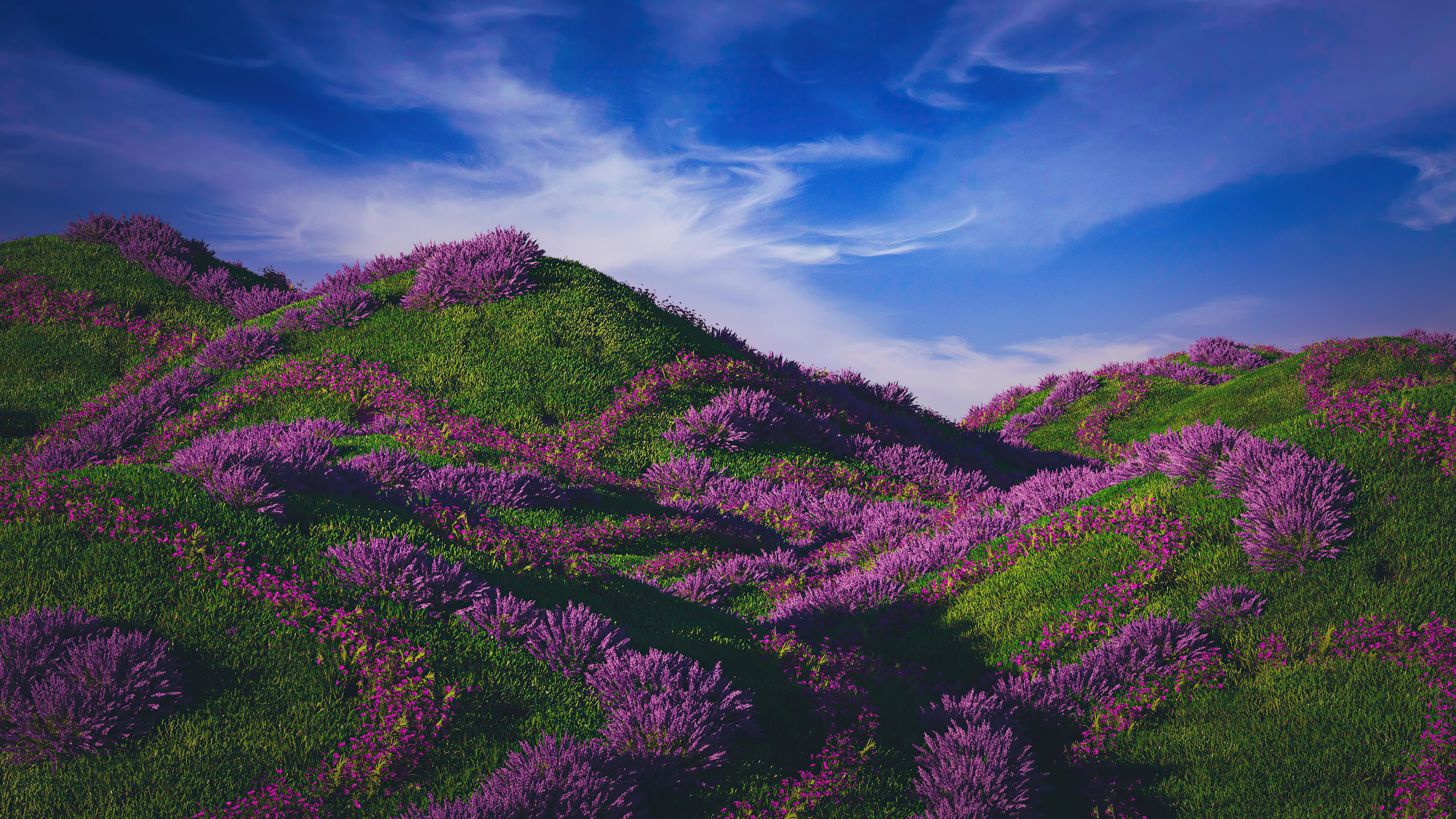 Green mountains with purple flowers and blue sky 4K HD Wallpaper