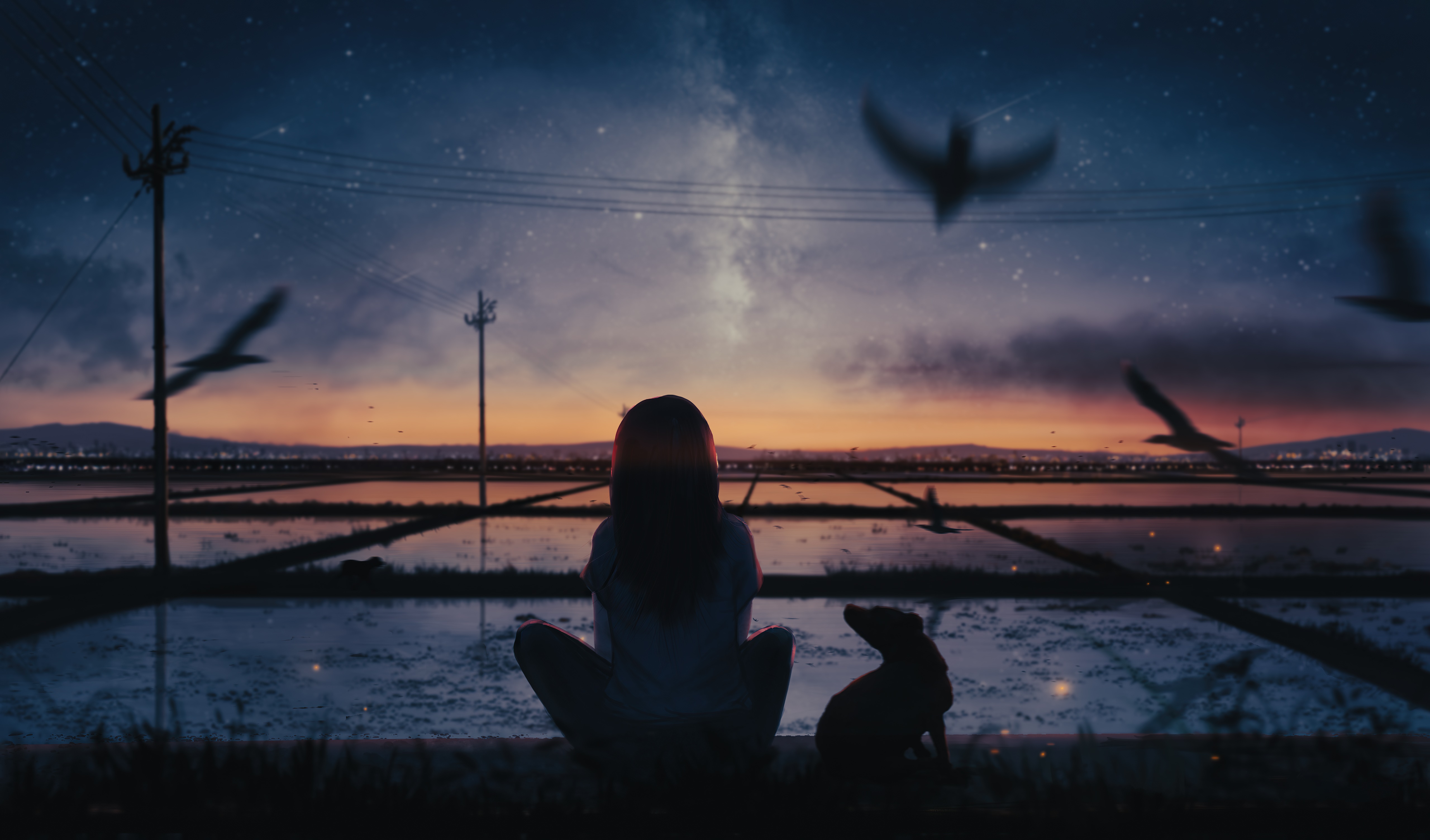 Anime girl and dog watching the starry sky over rice fields HD Wallpaper