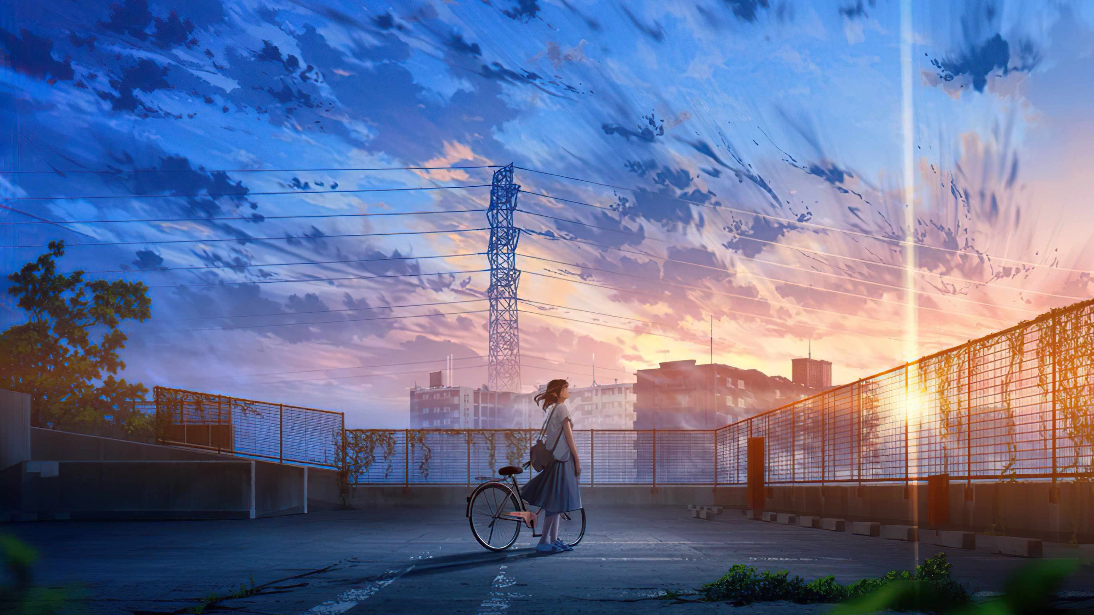 Anime girl with bicycle on rooftop at sunset HD Wallpaper