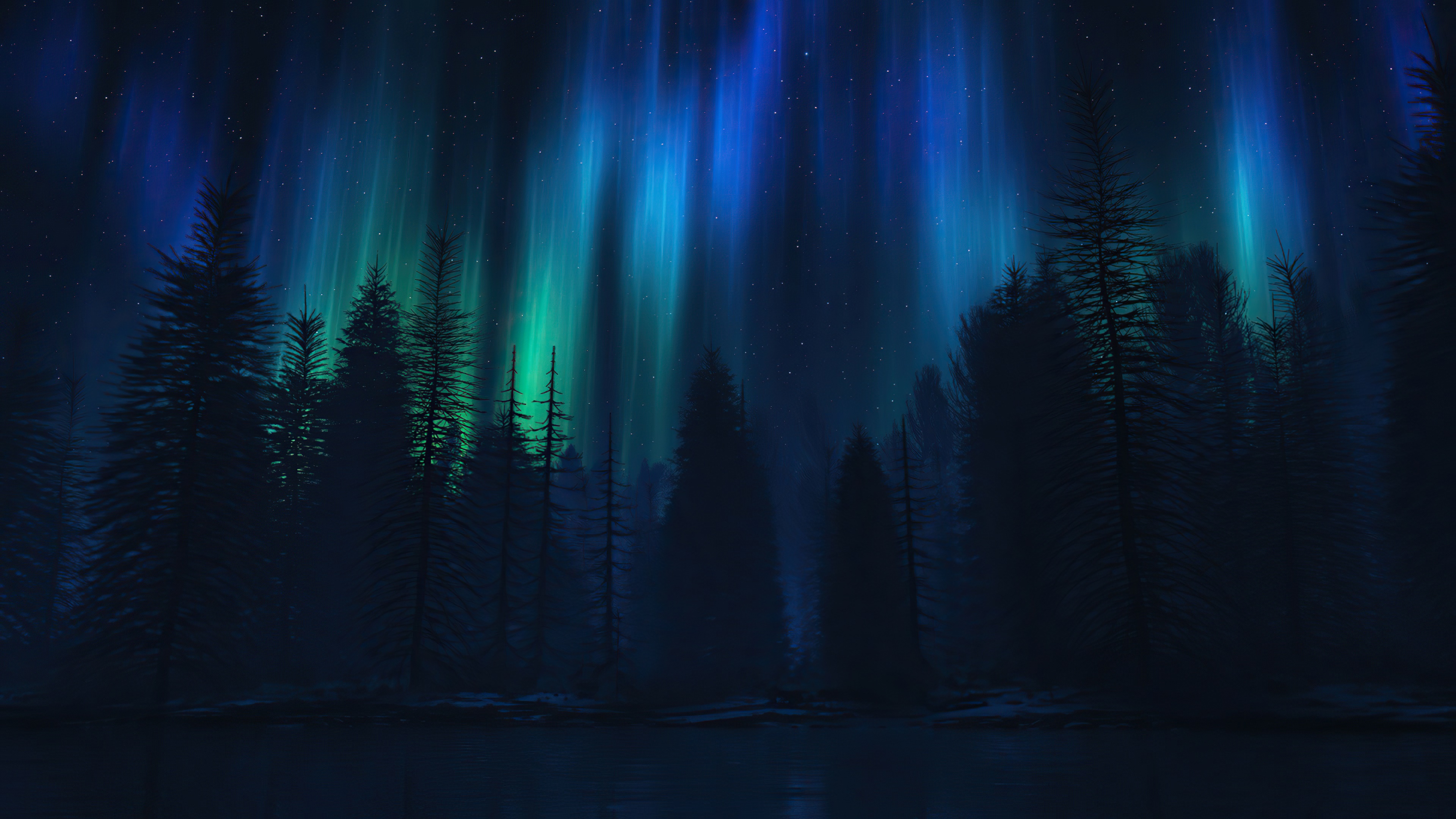 Aurora Borealis over a dark forest HD Wallpaper