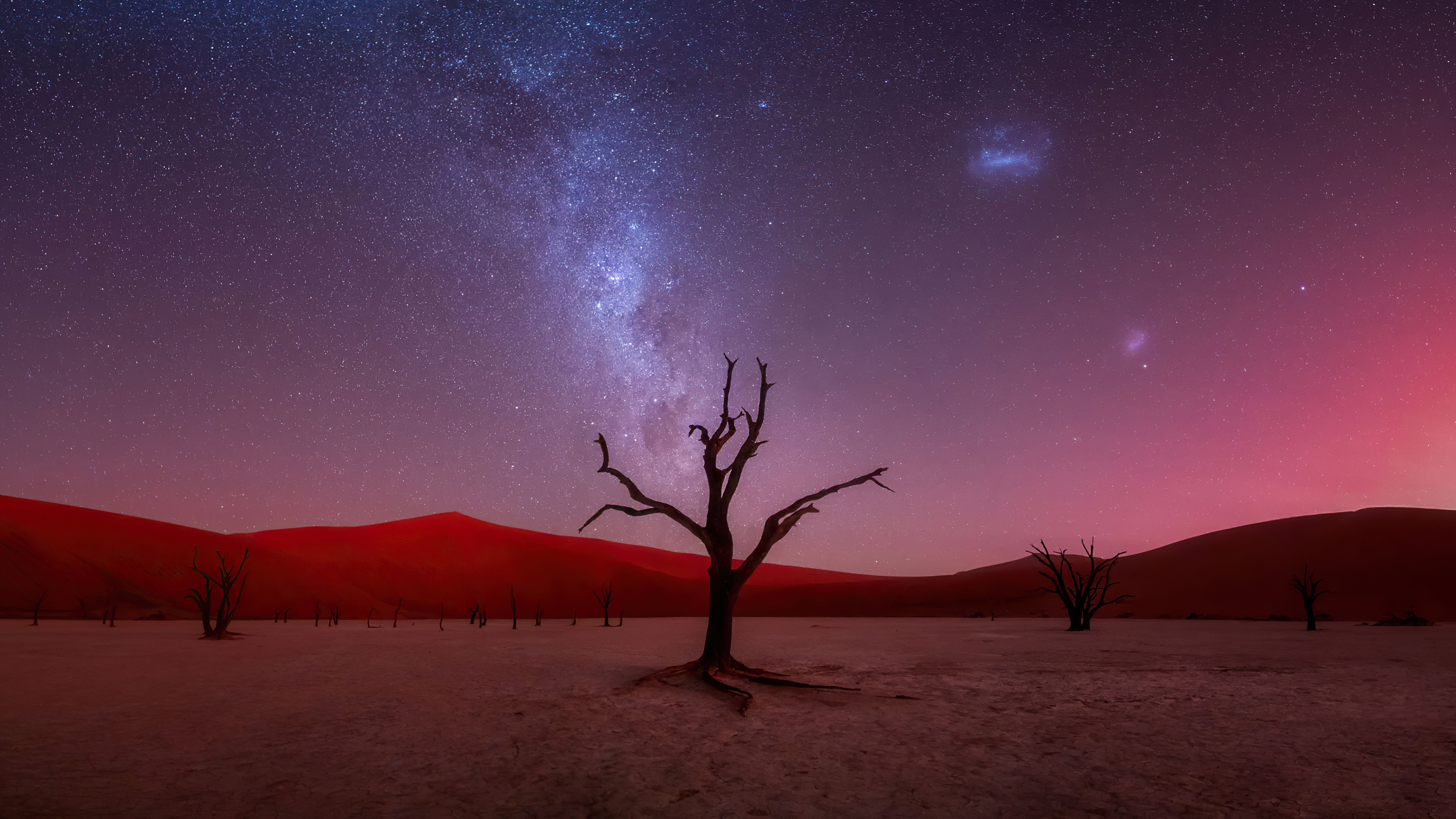 Dead trees under the Milky Way in the desert HD Wallpaper