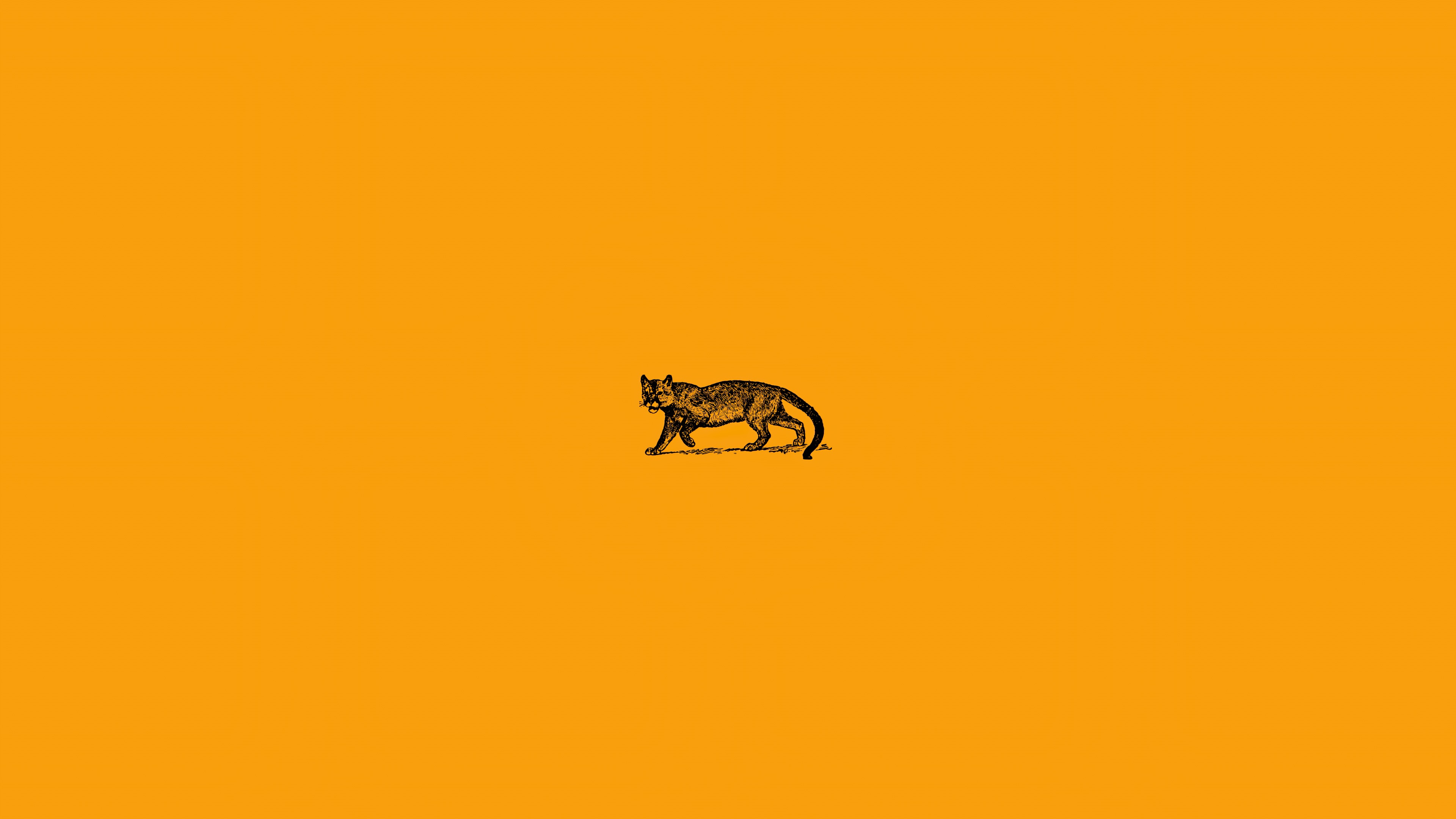 Minimalist artwork of a cat on orange background HD Wallpaper