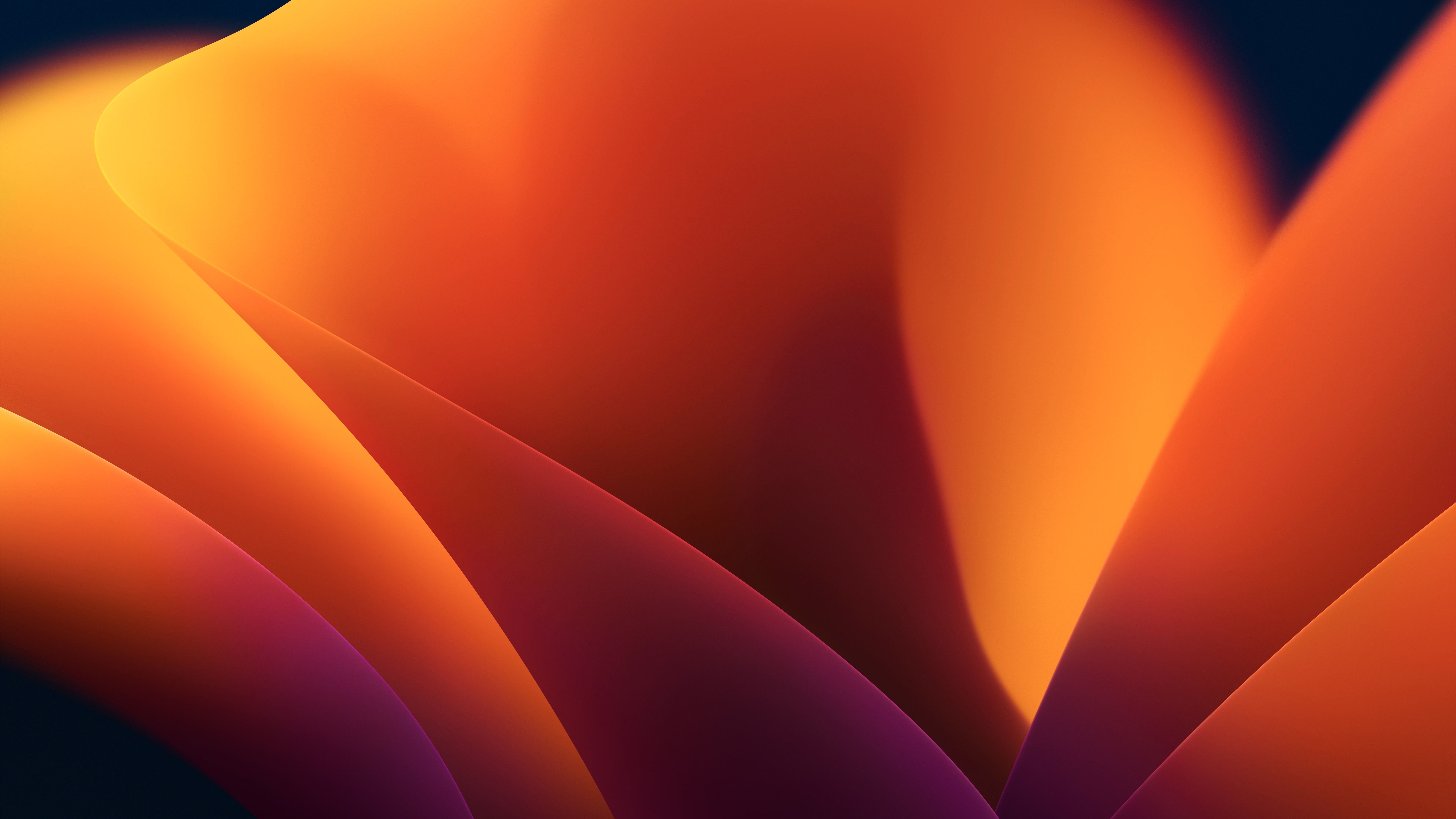 Abstract orange and purple flowing shapes HD Wallpaper